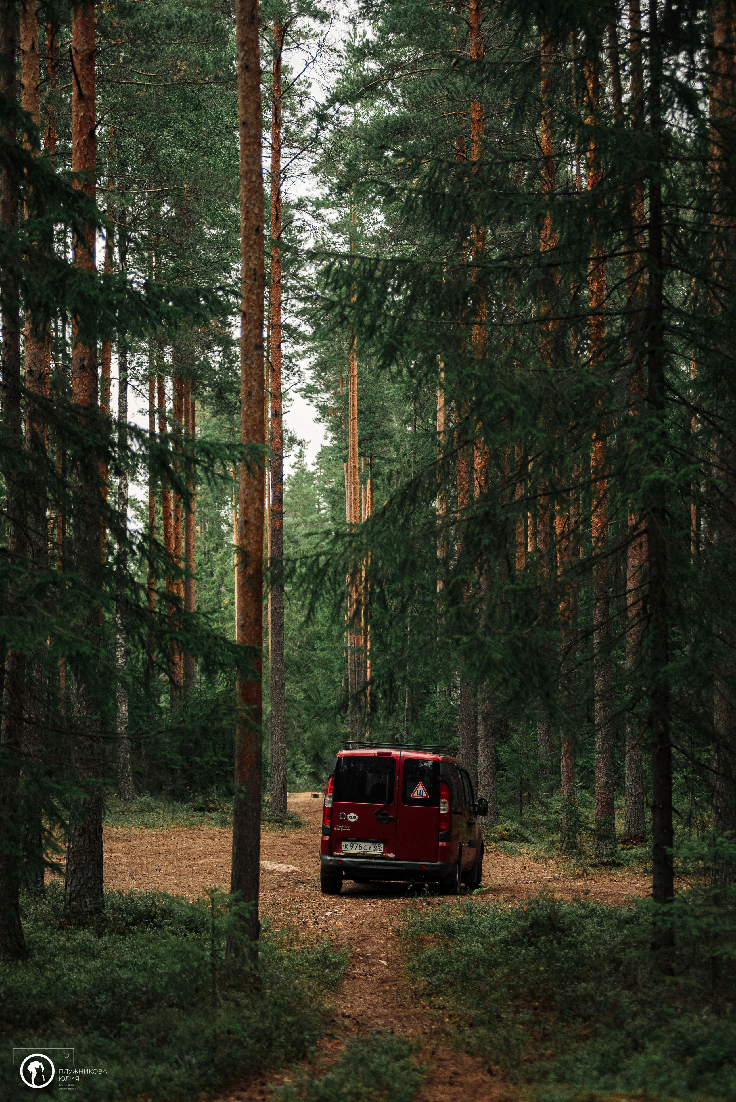 МУДИ — ВСТРЕЧА 2023. Фотограф — анималист Саратов/Москва|Плужникова Юлия