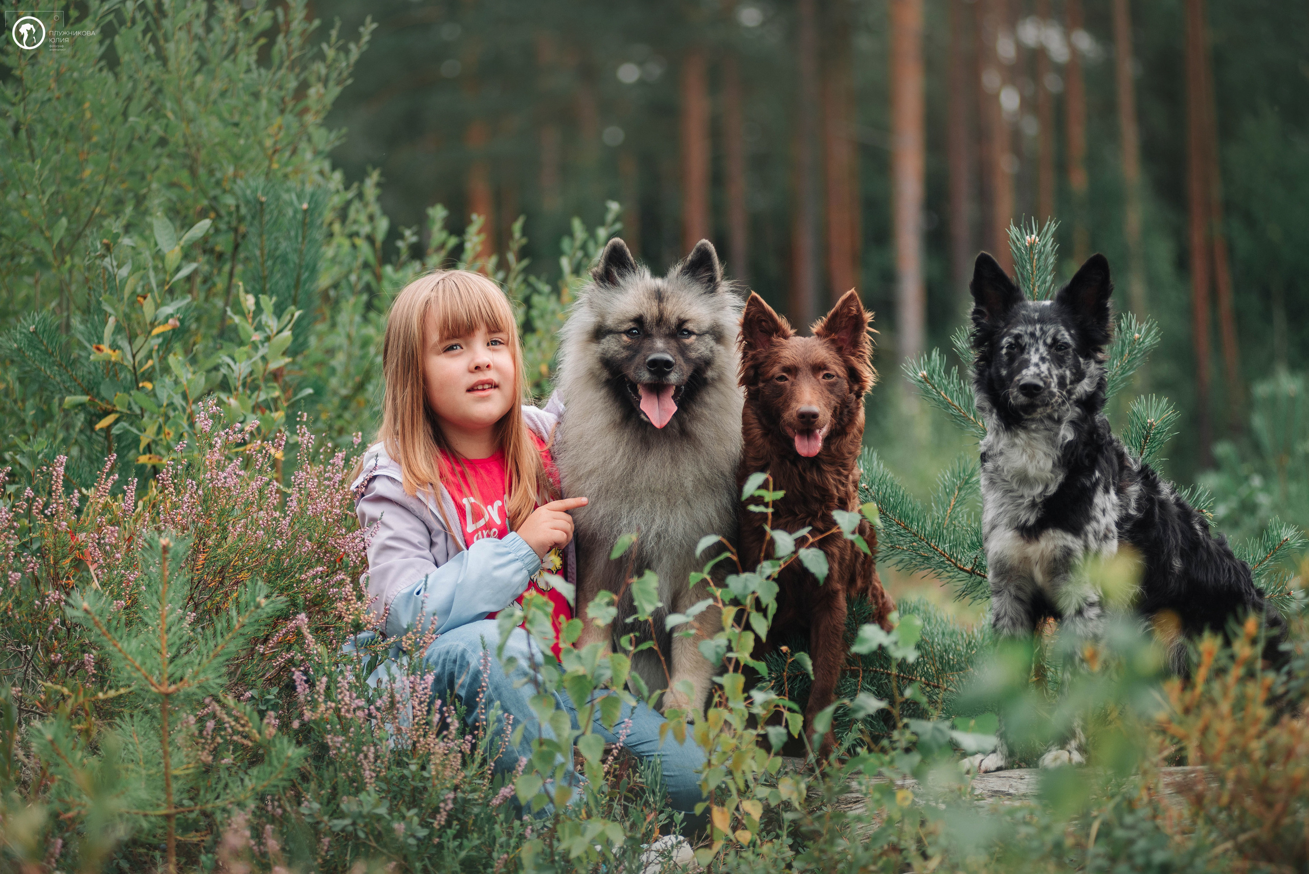 МУДИ — ВСТРЕЧА 2023. Фотограф — анималист Саратов/Москва|Плужникова Юлия