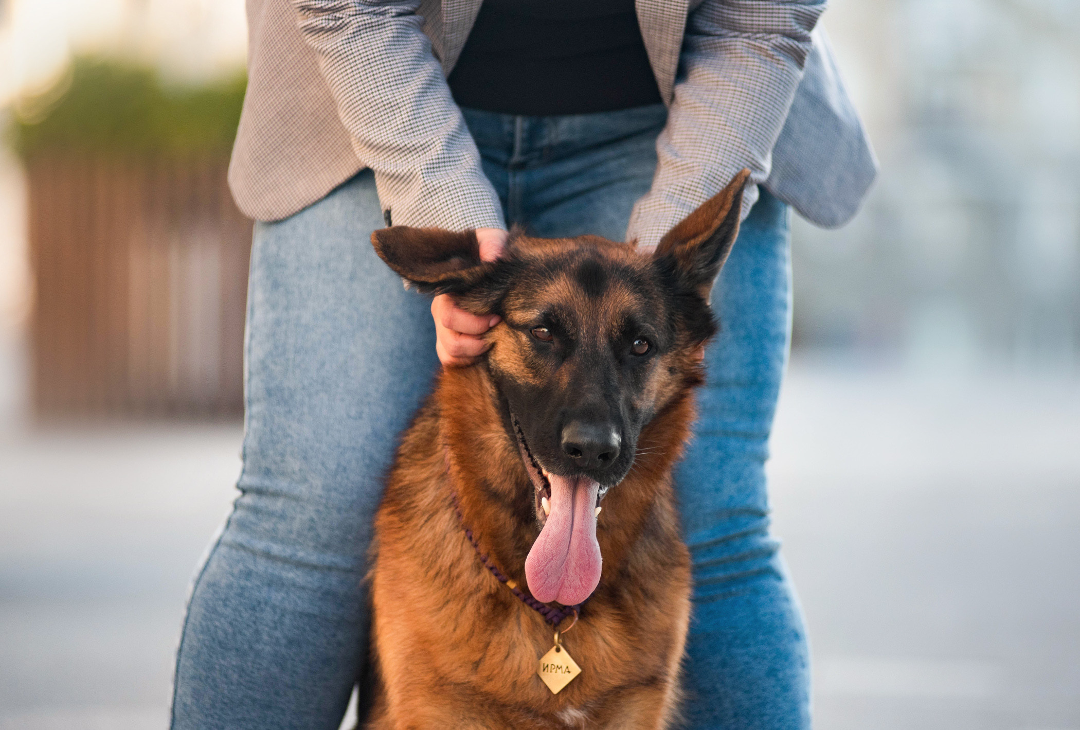 Лена и Ирма. Фотограф — анималист Саратов/Москва|Плужникова Юлия