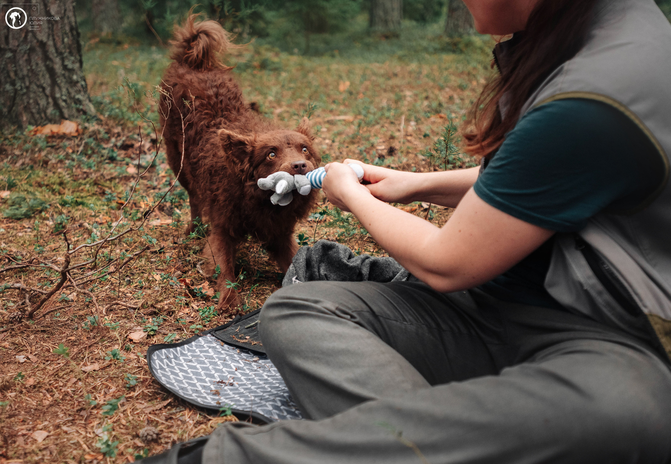 МУДИ — ВСТРЕЧА 2023. Фотограф — анималист Саратов/Москва|Плужникова Юлия