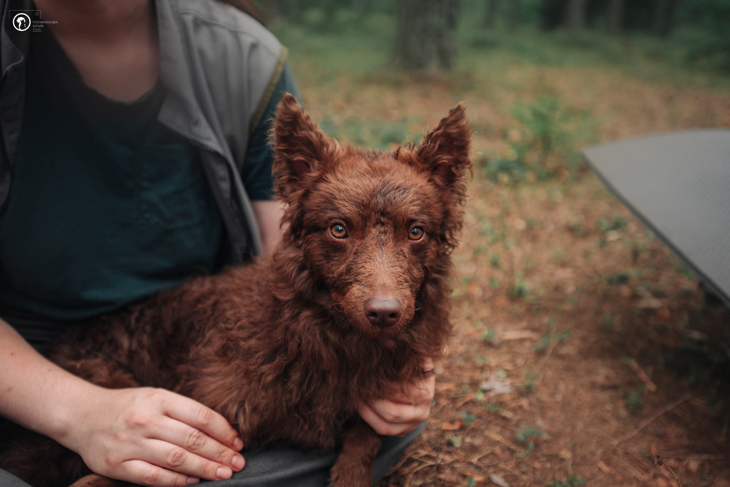 МУДИ — ВСТРЕЧА 2023. Фотограф — анималист Саратов/Москва|Плужникова Юлия