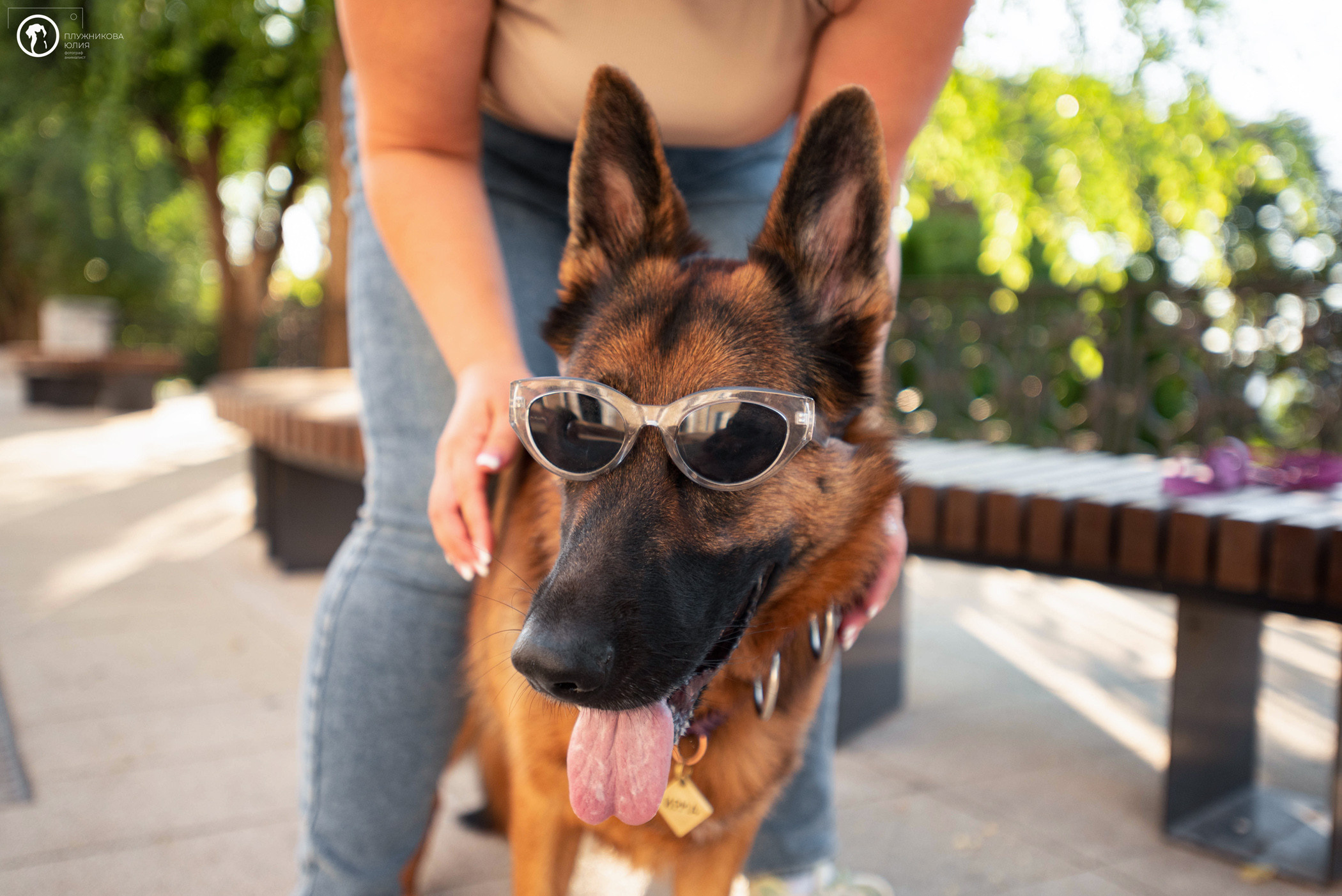 Лена и Ирма. Фотограф — анималист Саратов/Москва|Плужникова Юлия
