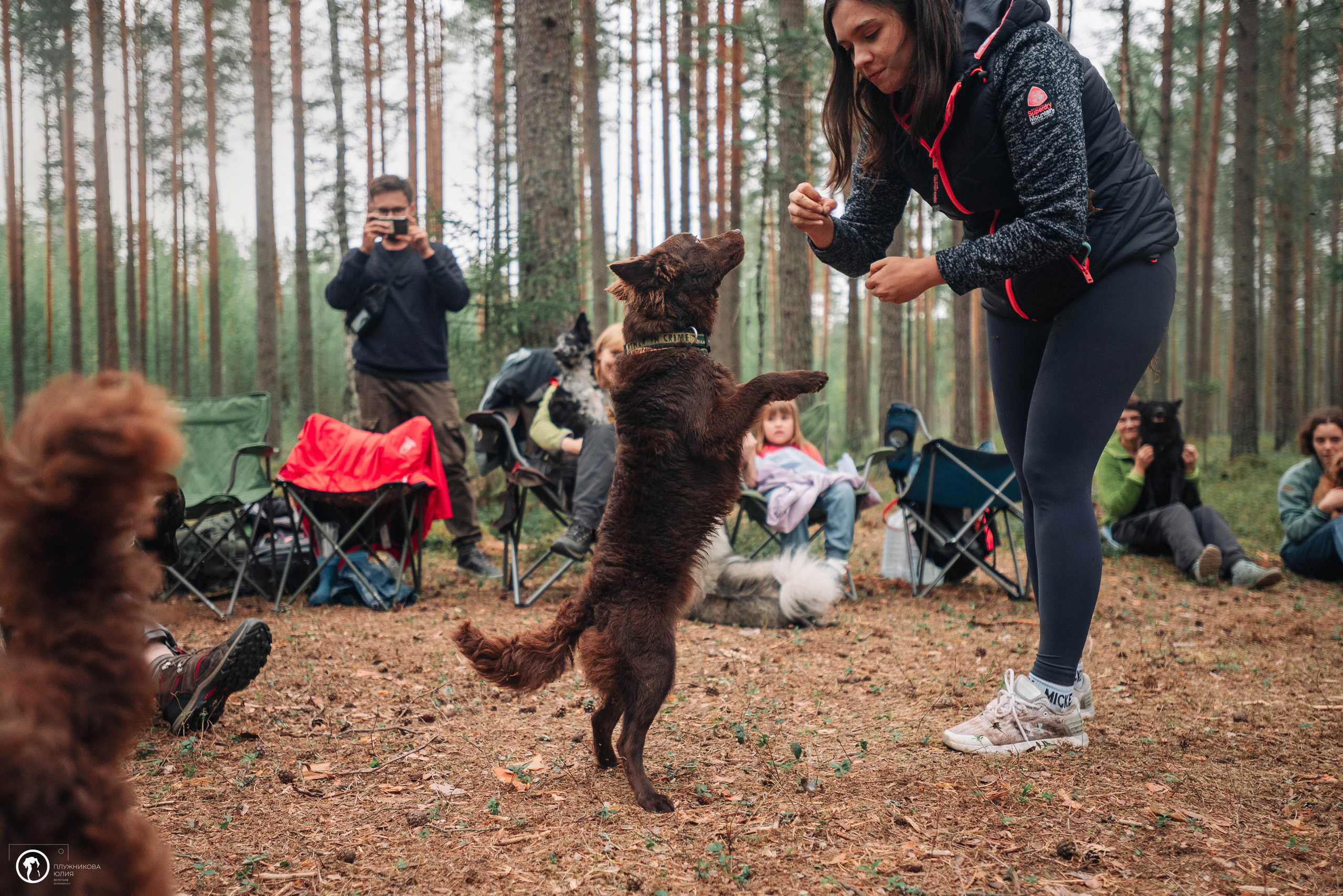 МУДИ — ВСТРЕЧА 2023. Фотограф — анималист Саратов/Москва|Плужникова Юлия