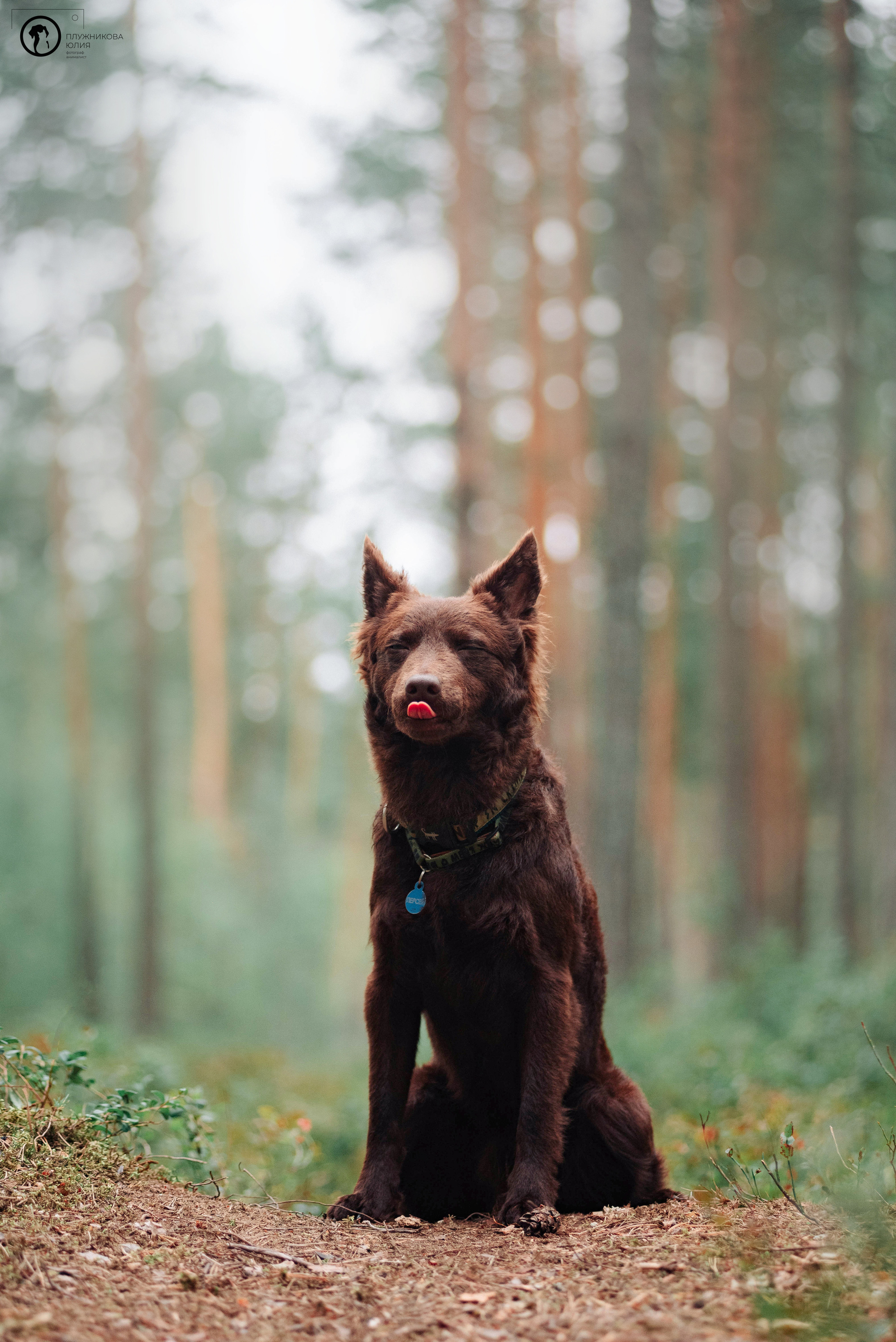МУДИ — ВСТРЕЧА 2023. Фотограф — анималист Саратов/Москва|Плужникова Юлия