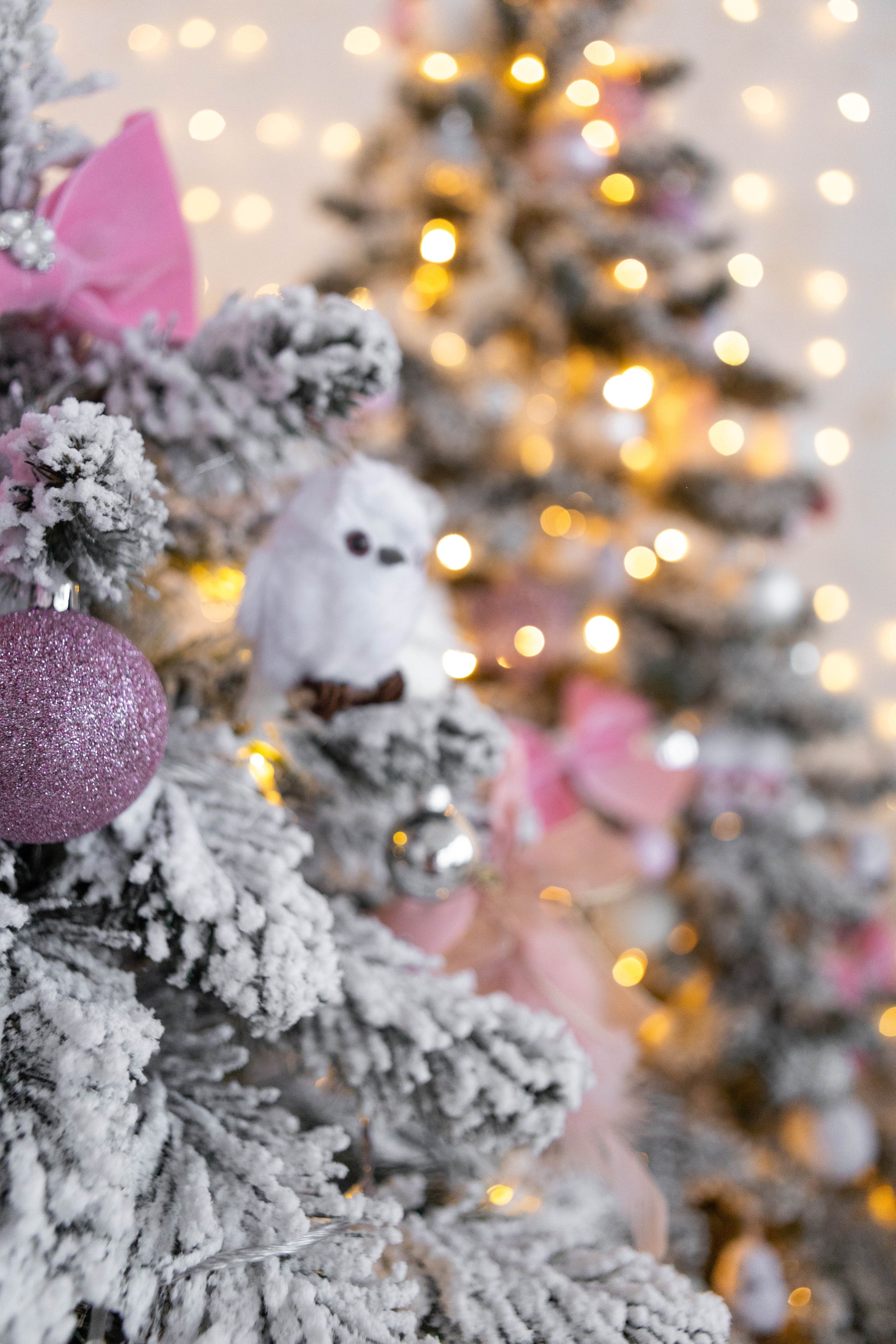 Студия F. Фотограф г. Хабаровск. Семейные и индивидуальные съёмки