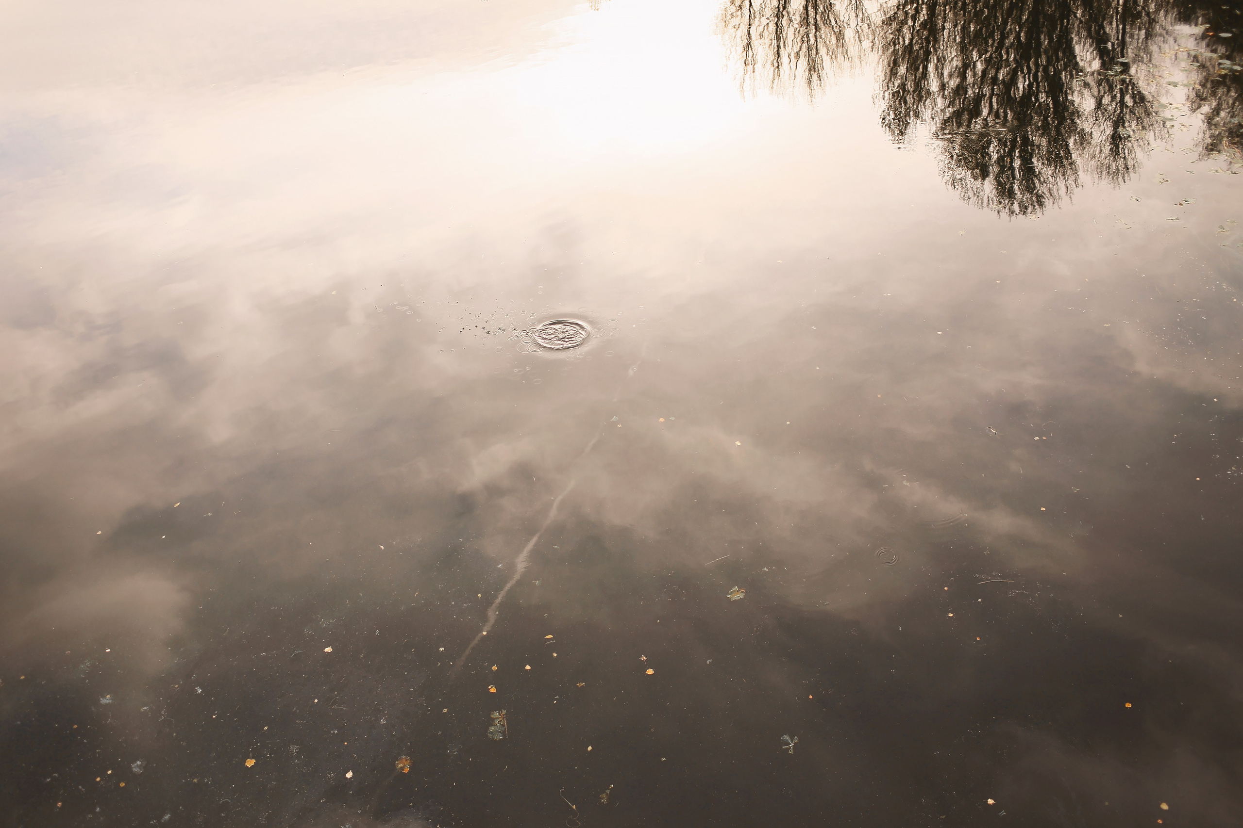 Съемка пары в осеннем городе и в студии. Свадебный и репортажный фотограф в Ярославле и Санкт-Петербурге Роман Микрюков