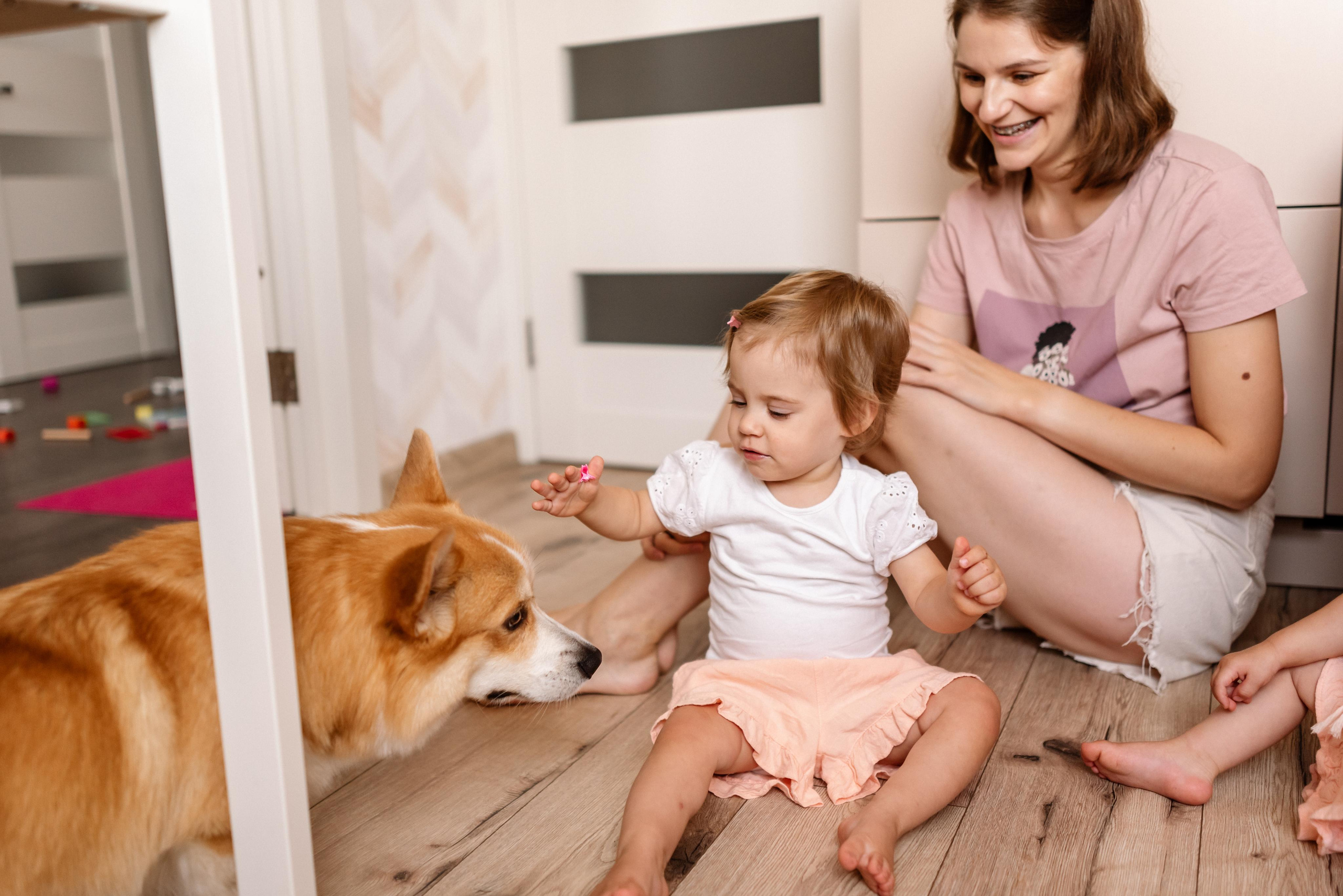 Семейная фотосессия дома для Кати и Кости и их девочек. Свадебный и портретный фотограф в Минске Татьяна Лобода