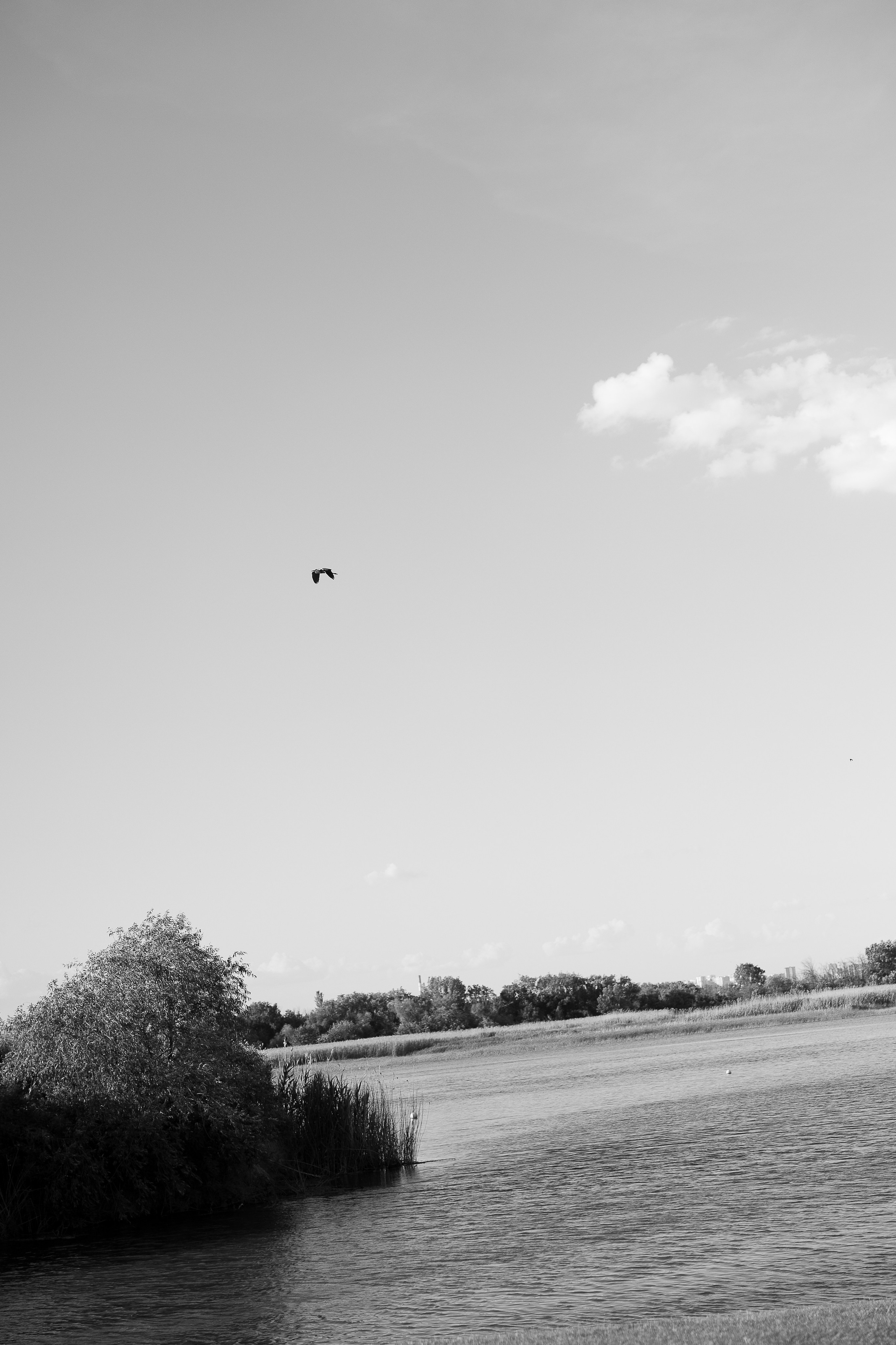 Сказка. Свадебный | Семейный фотограф