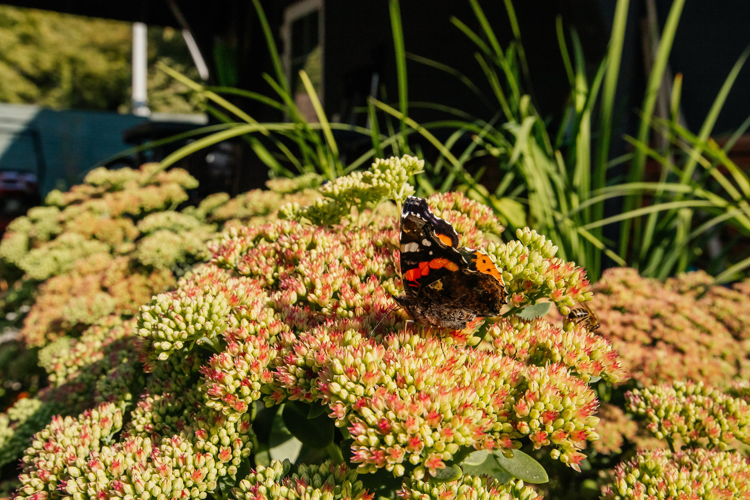 Город Загород I Интерьер. Репортажный и портретный фотограф в Екатеринбурге Гизатуллин Марат