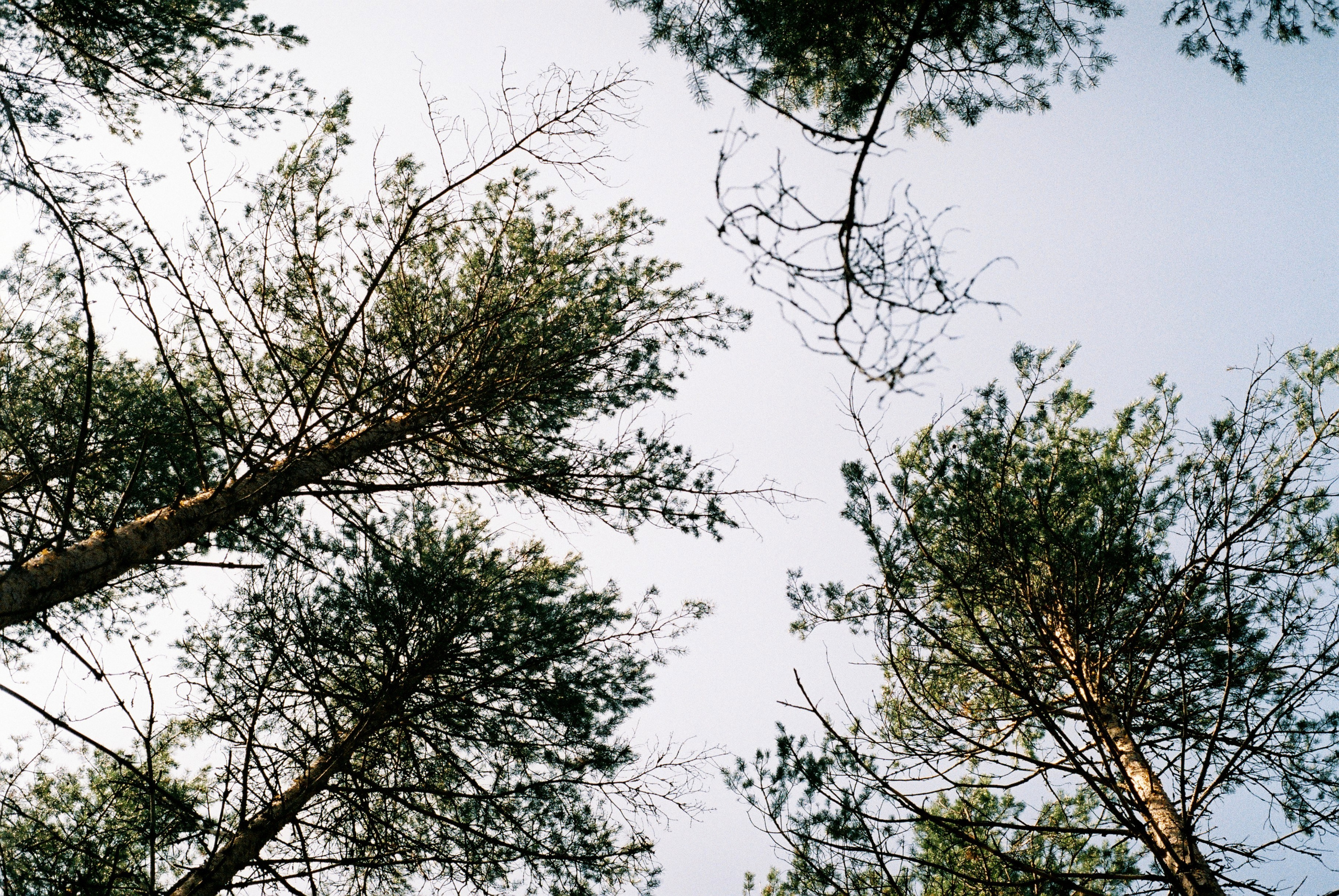 Film. Ruslan UI Dev Page