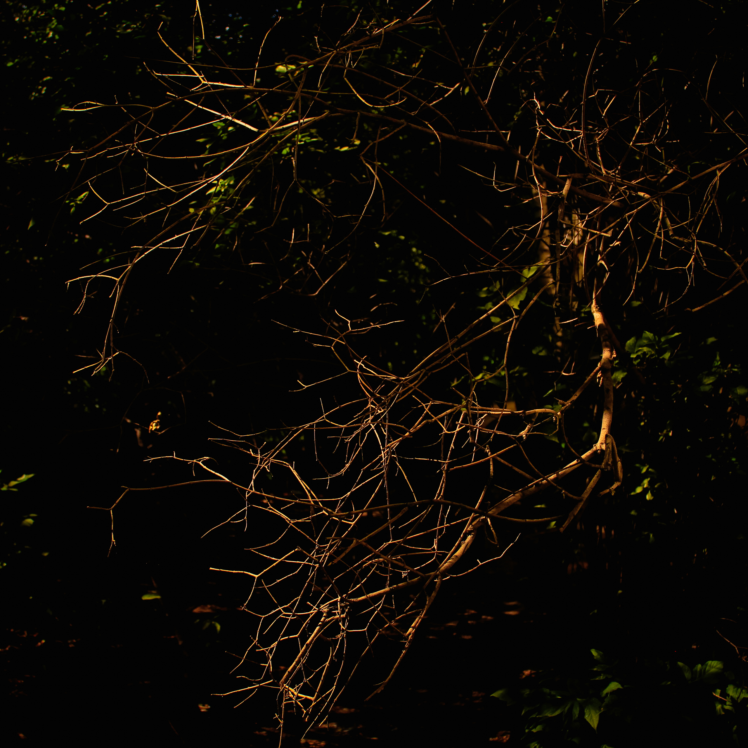 Summertime. Фотограф/дизайнер в Екатеринбурге Хитрый Дмитрий