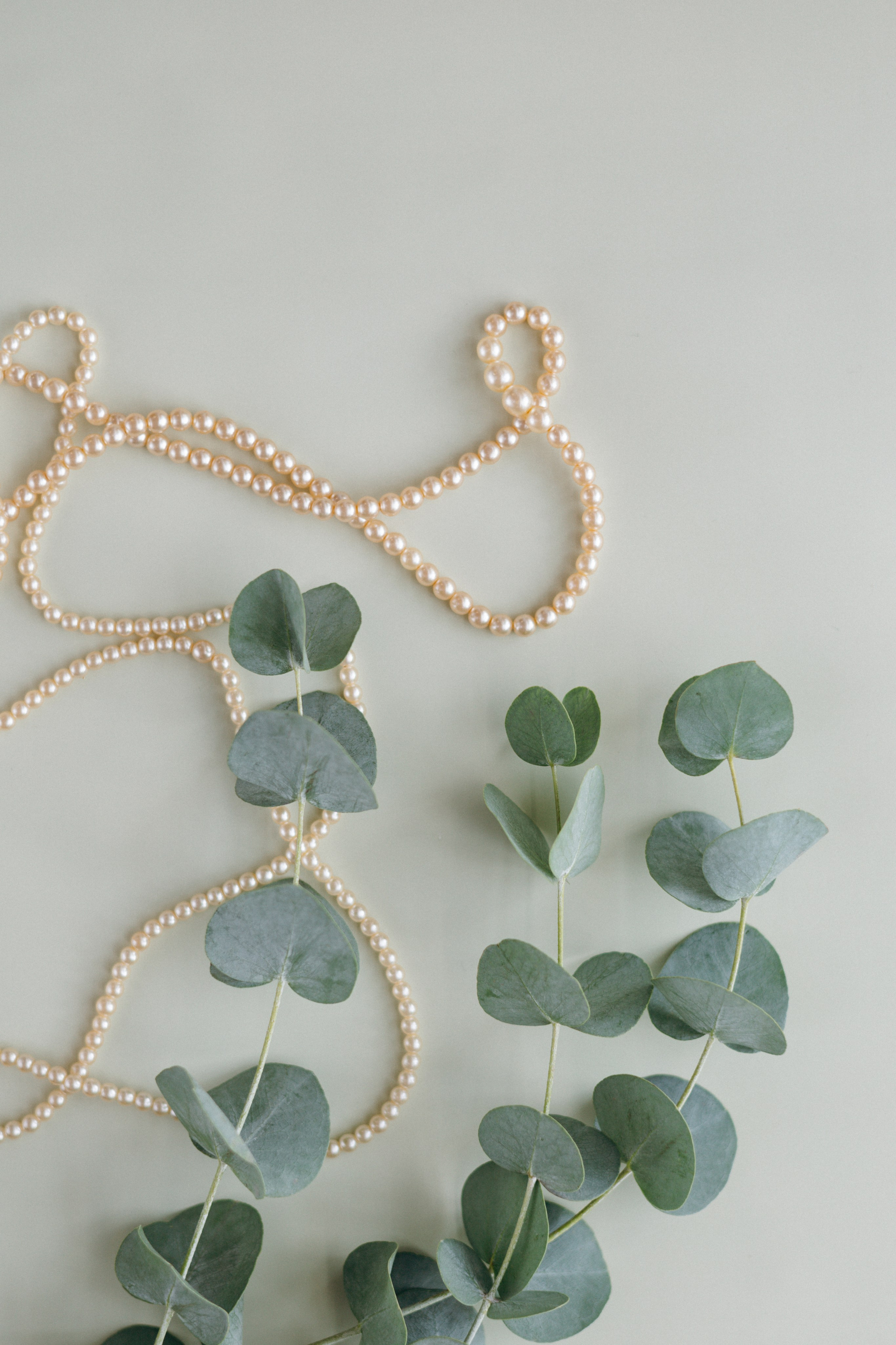 Кейс магазин цветов. Ваш фотограф