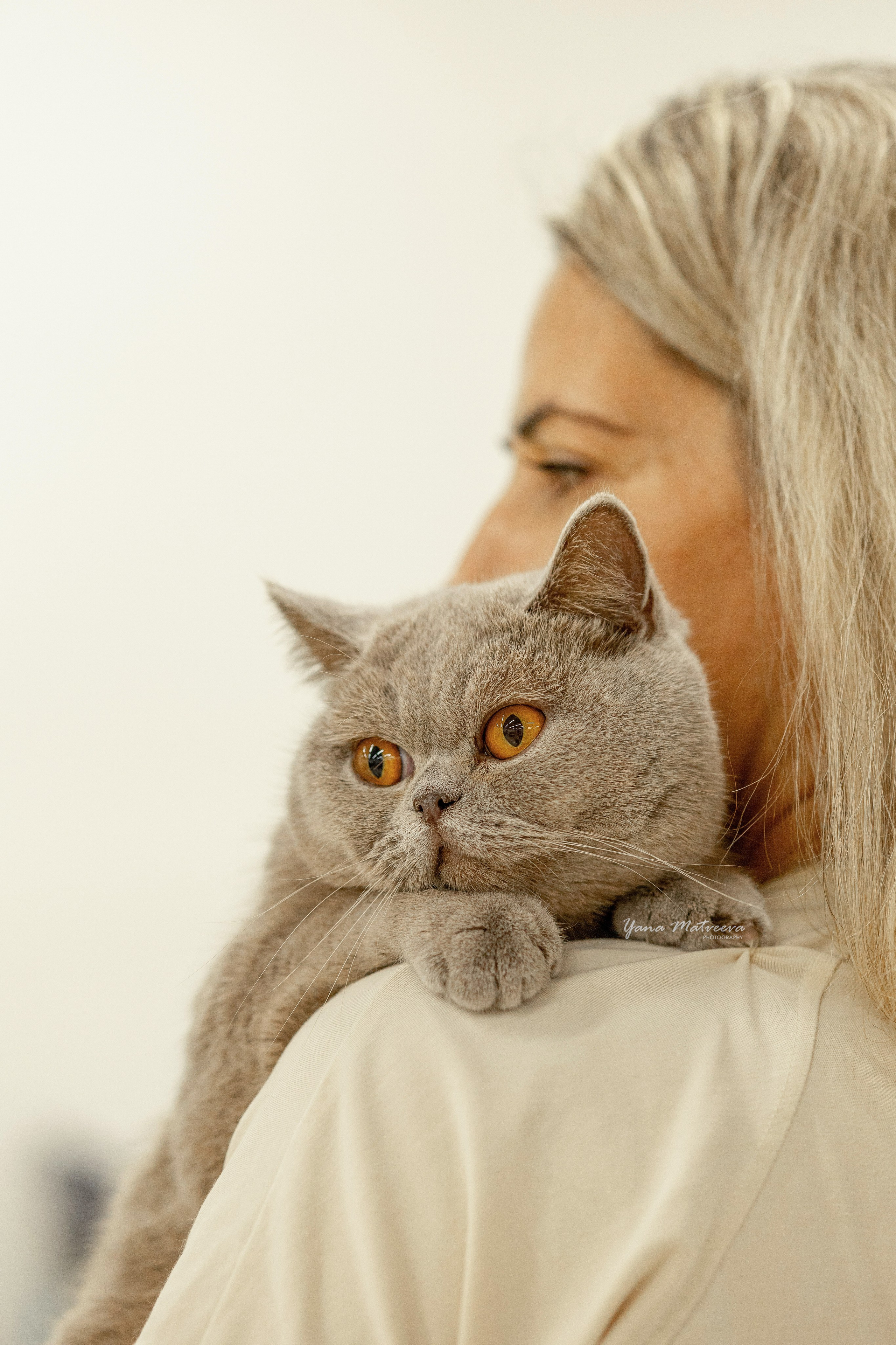 Кошки. Фотограф Яна Матвеева в Ижевске