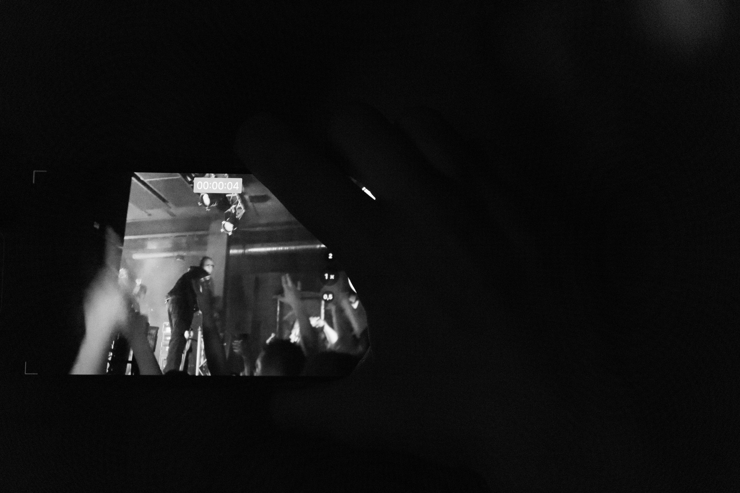 Хаски — Смоленск 23.05.2025. KiPPER Gallery — Фотограф