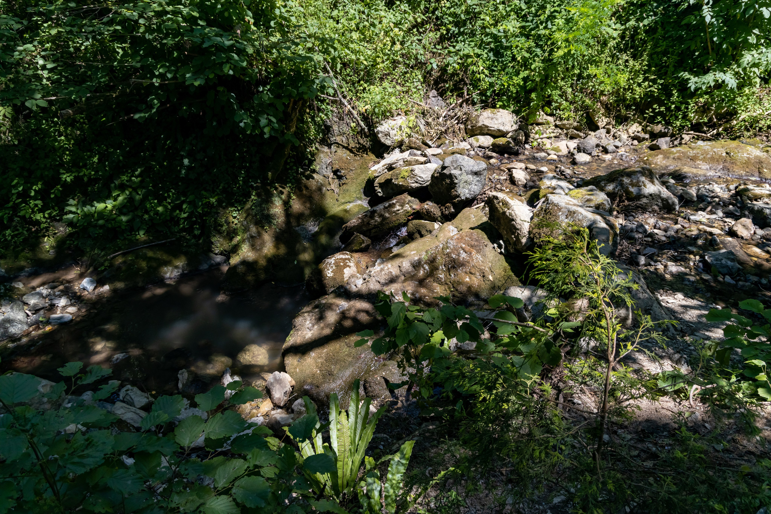 Сочи. Солох Аул. Репортажный, семейный и студийный фотограф в Москве Демин Алексей