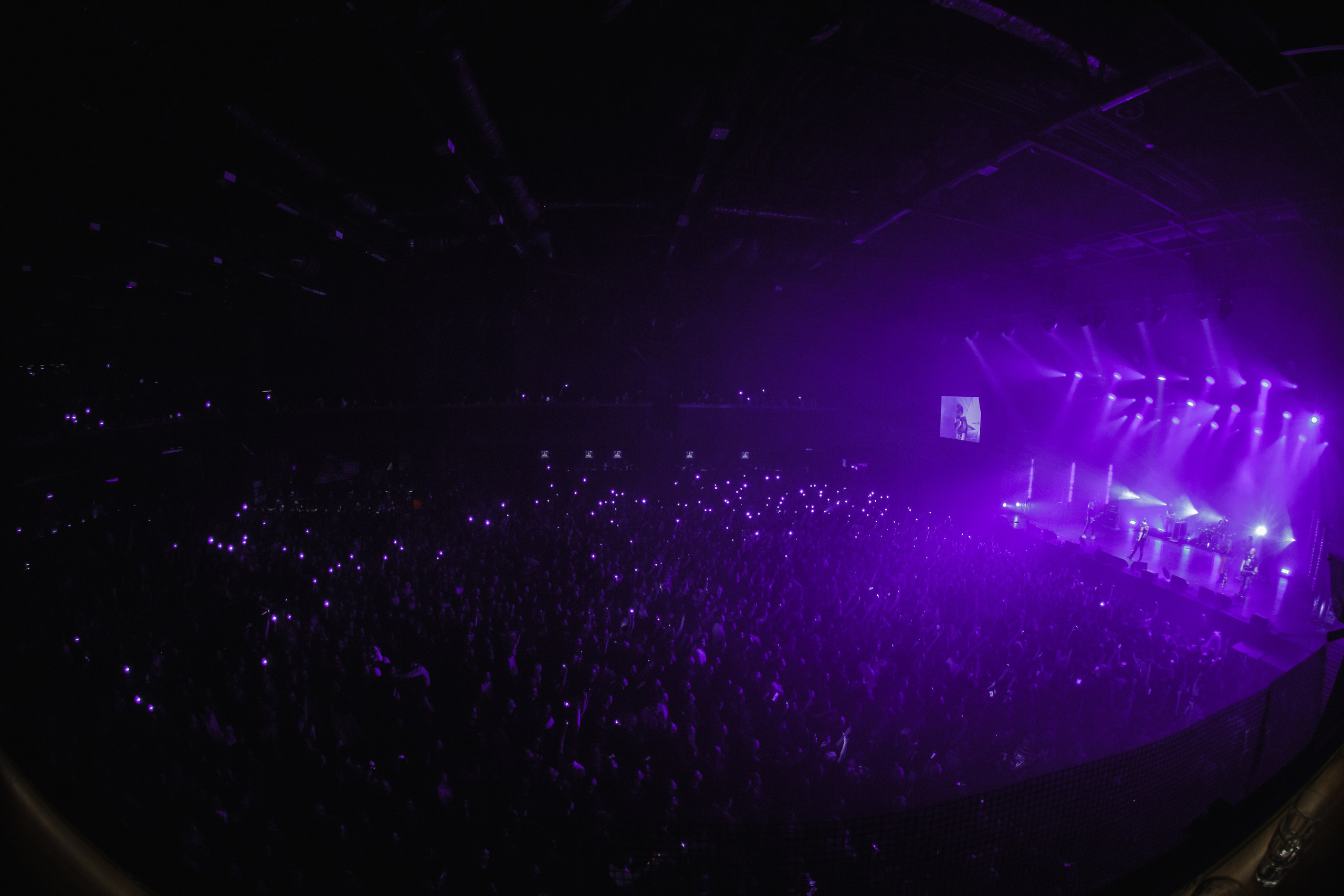 КняZz, ВТБ-Арена. Фотограф Ольга Махалова — Санкт-Петербург, Москва, Нижний Новгород