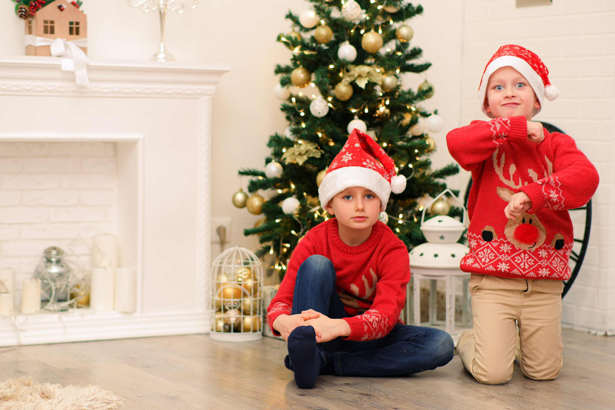 Стёпа и Демьян. Лена Фокина | Фотограф Смоленск