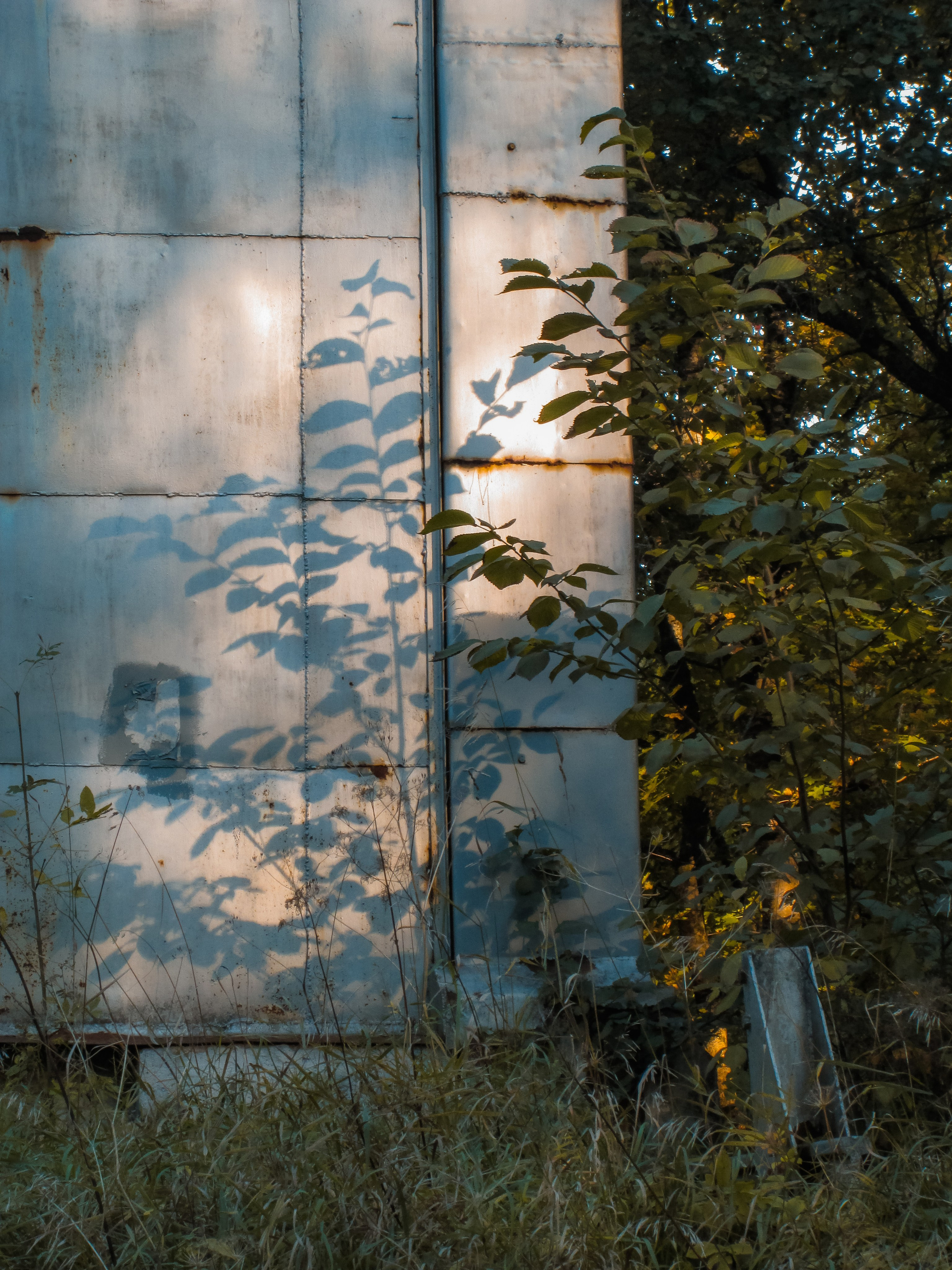 Чувство ушедшего лета. Натали. Janie valde |photographer & visual artist