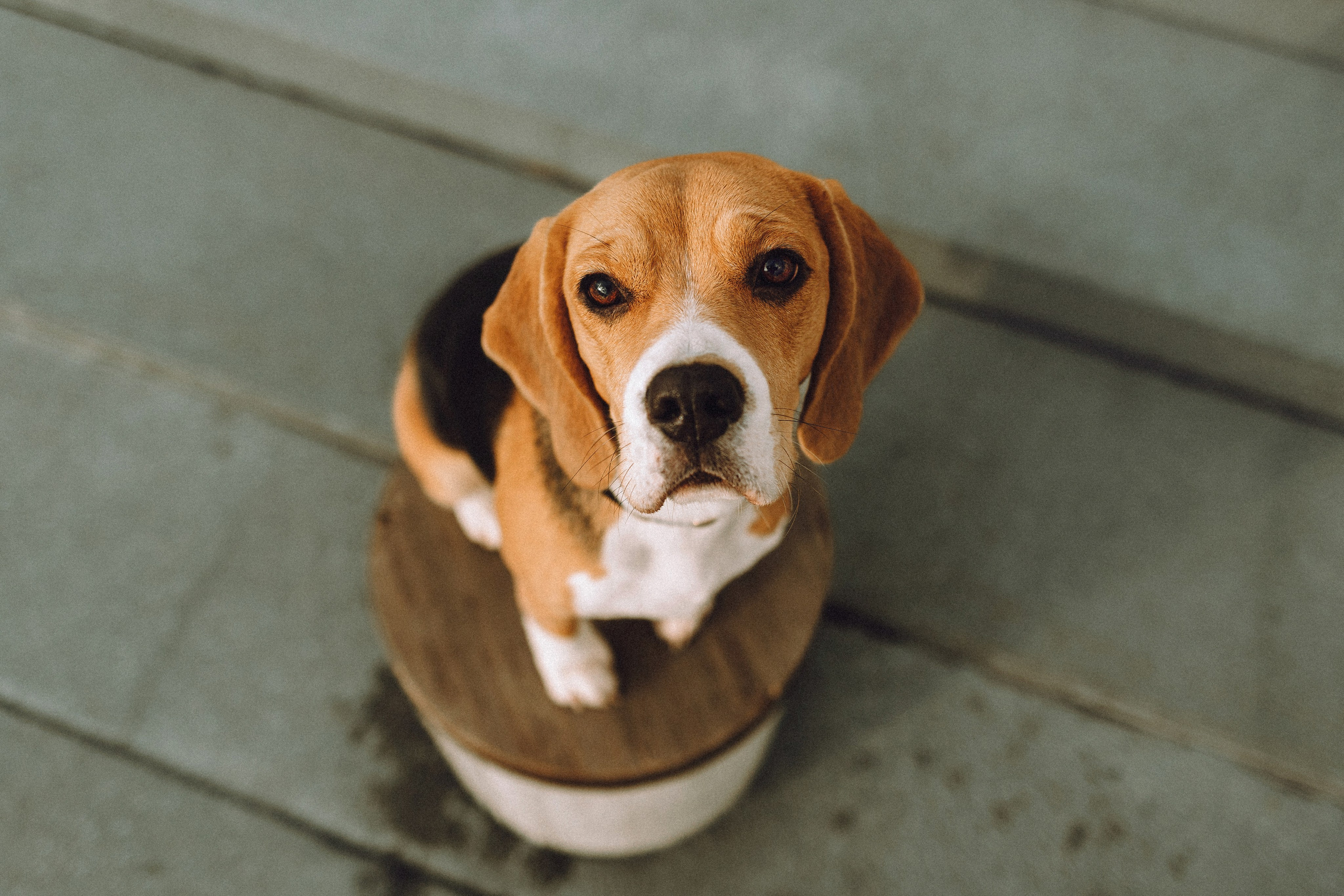 Ксюша и Мэгги