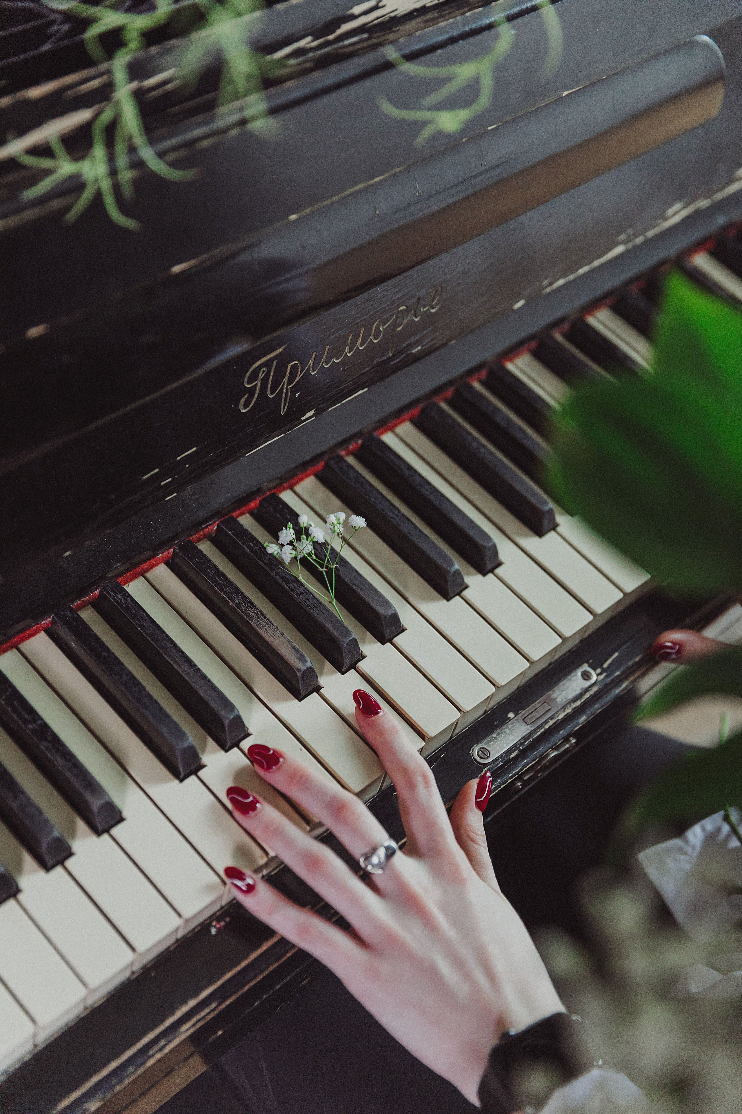 Фотопроекты. Фотограф и Видеограф в Москве Дарья Арсентьева