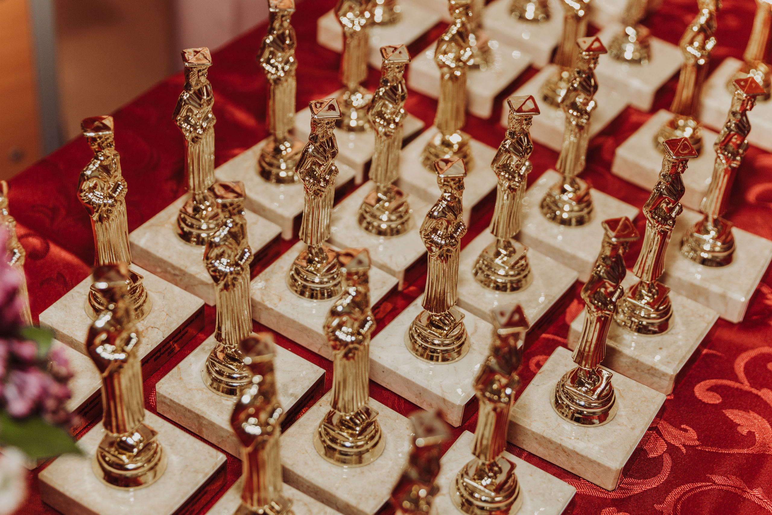 Детский Сад | Школа |Выпускные. Фотограф и Видеограф в Москве Дарья Арсентьева