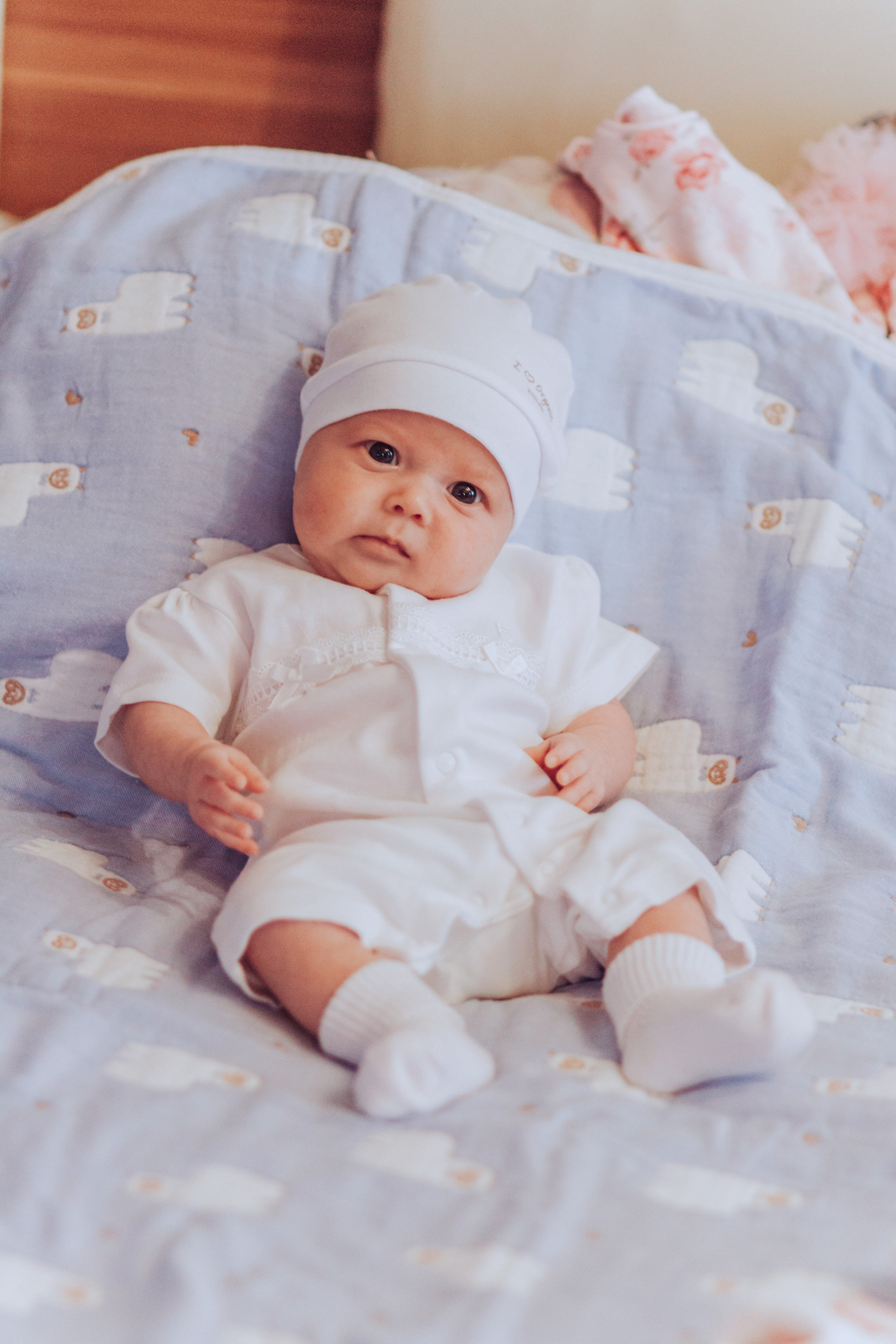 HOME. Фотограф и Видеограф в Москве Дарья Арсентьева