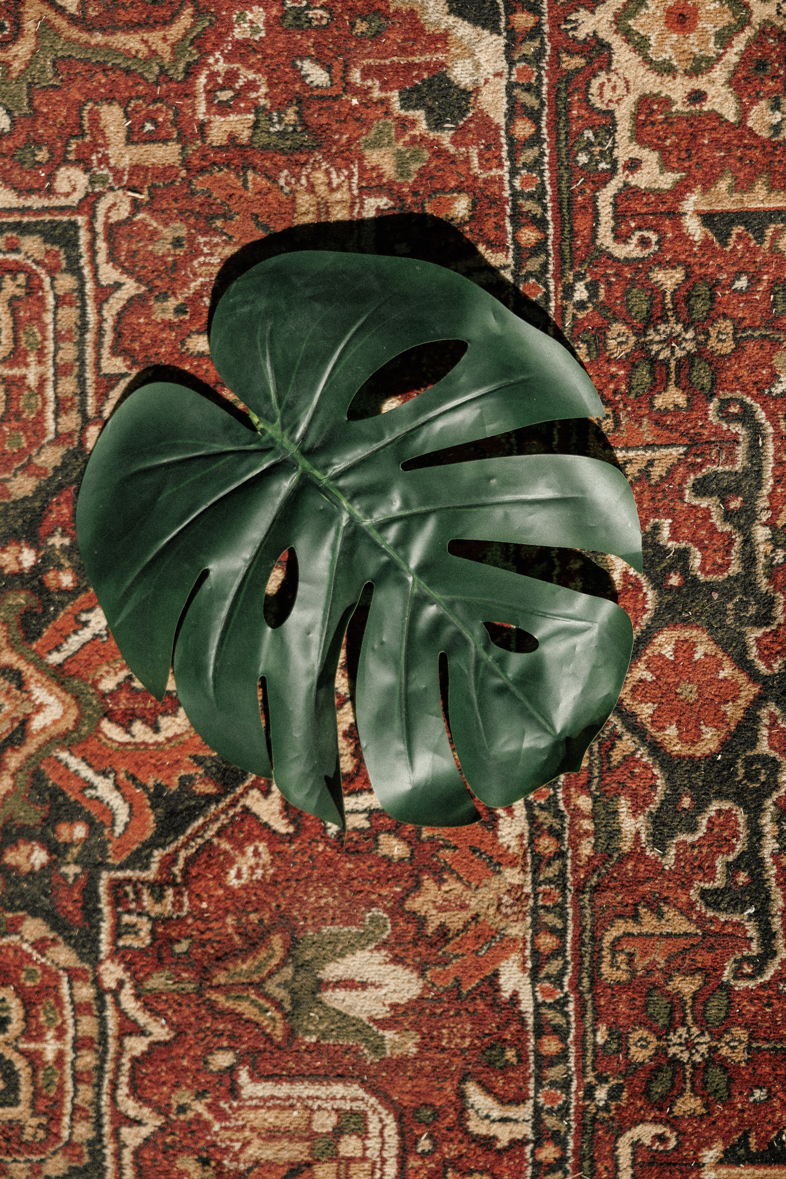 VMESTE | FEST 2025. Свадебный и event-фотограф Иван Волнухин