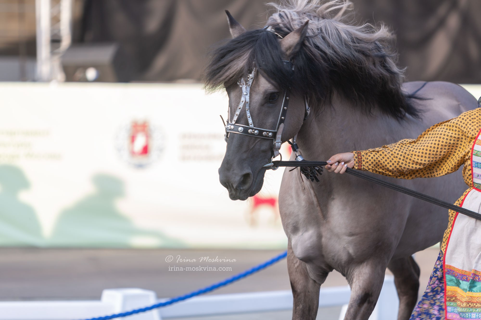 Вятская порода