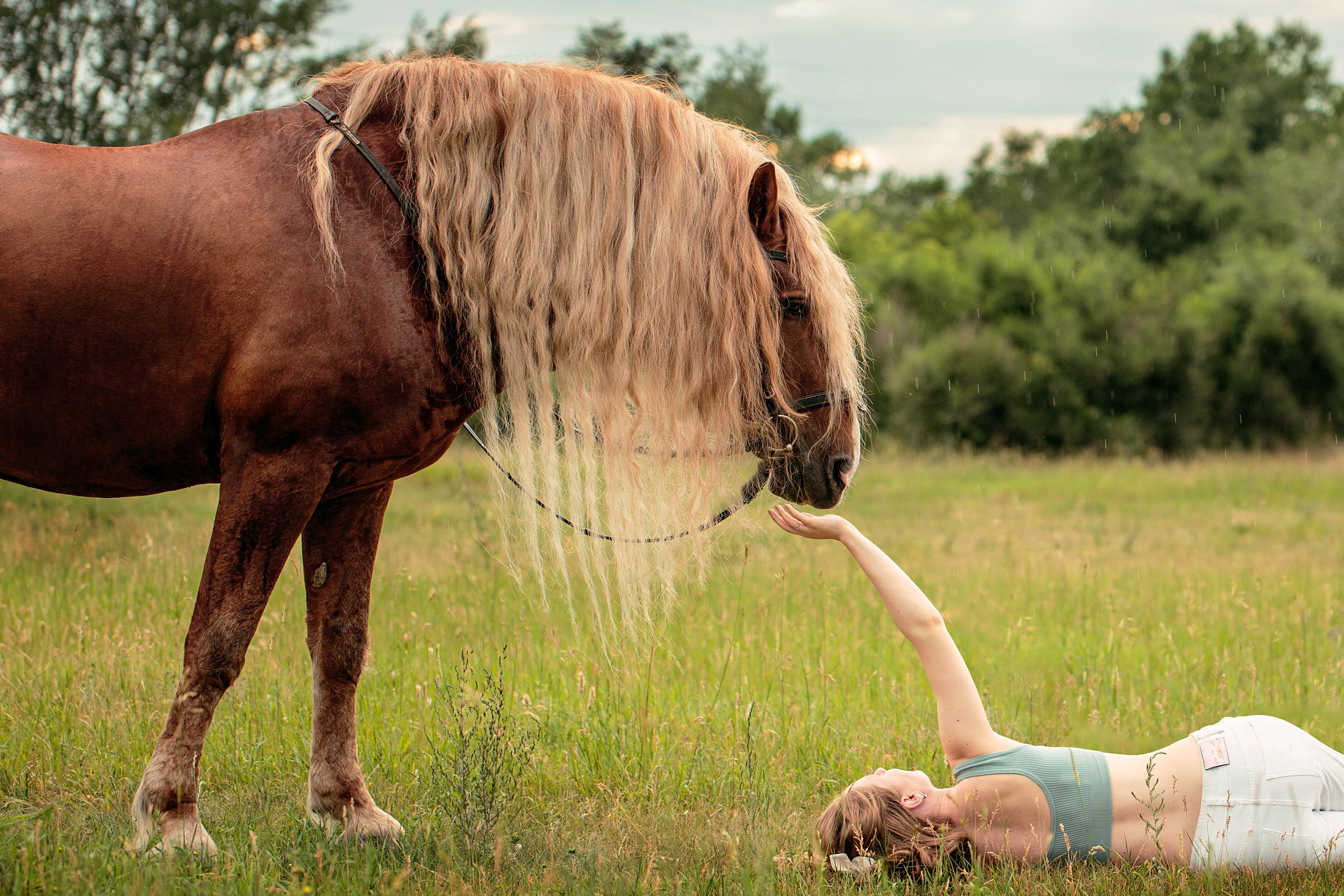 Красноярский ип-м. Конный фотограф в Красноярске — Любовь Похабова