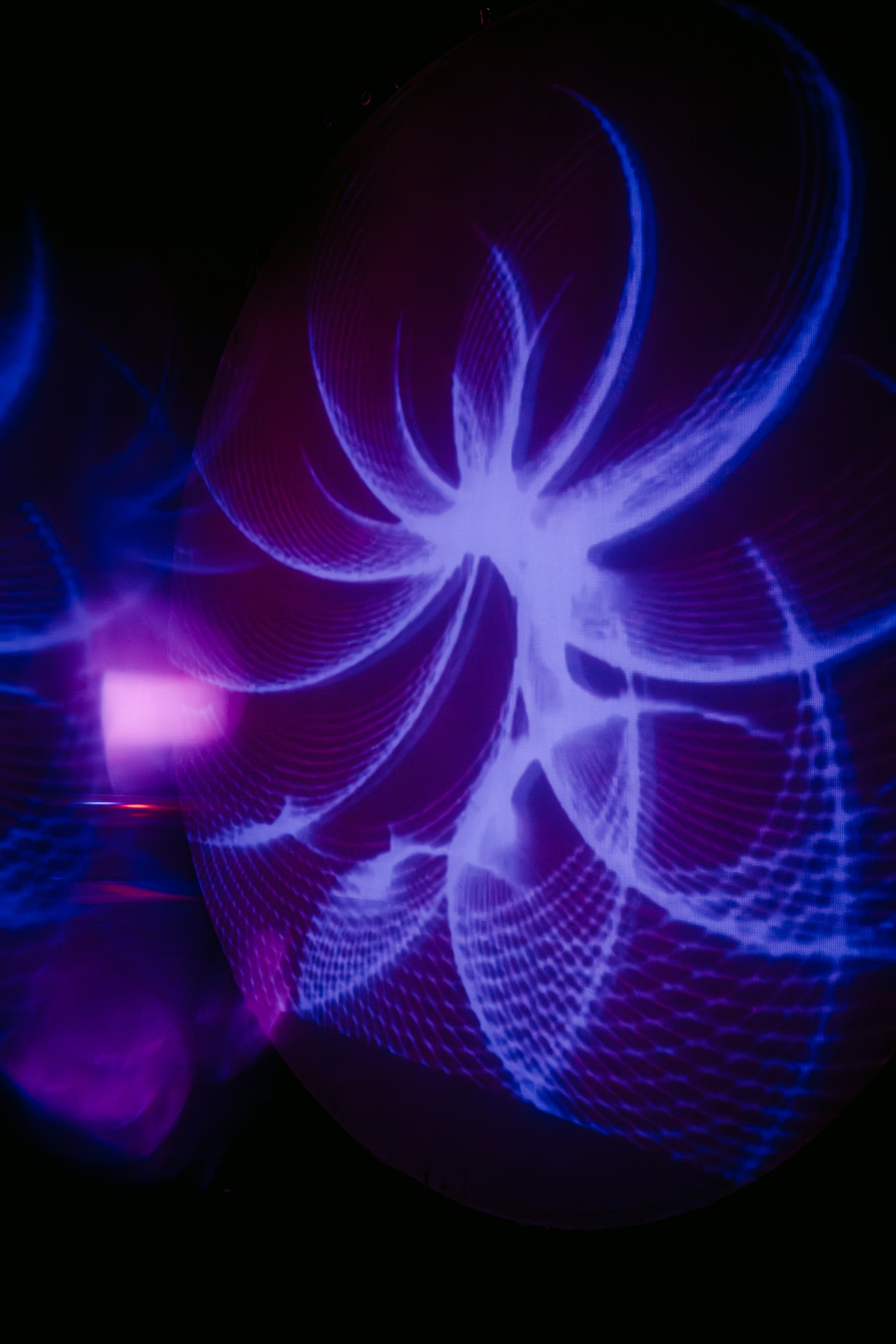 Synesthesia|Werk. Главная