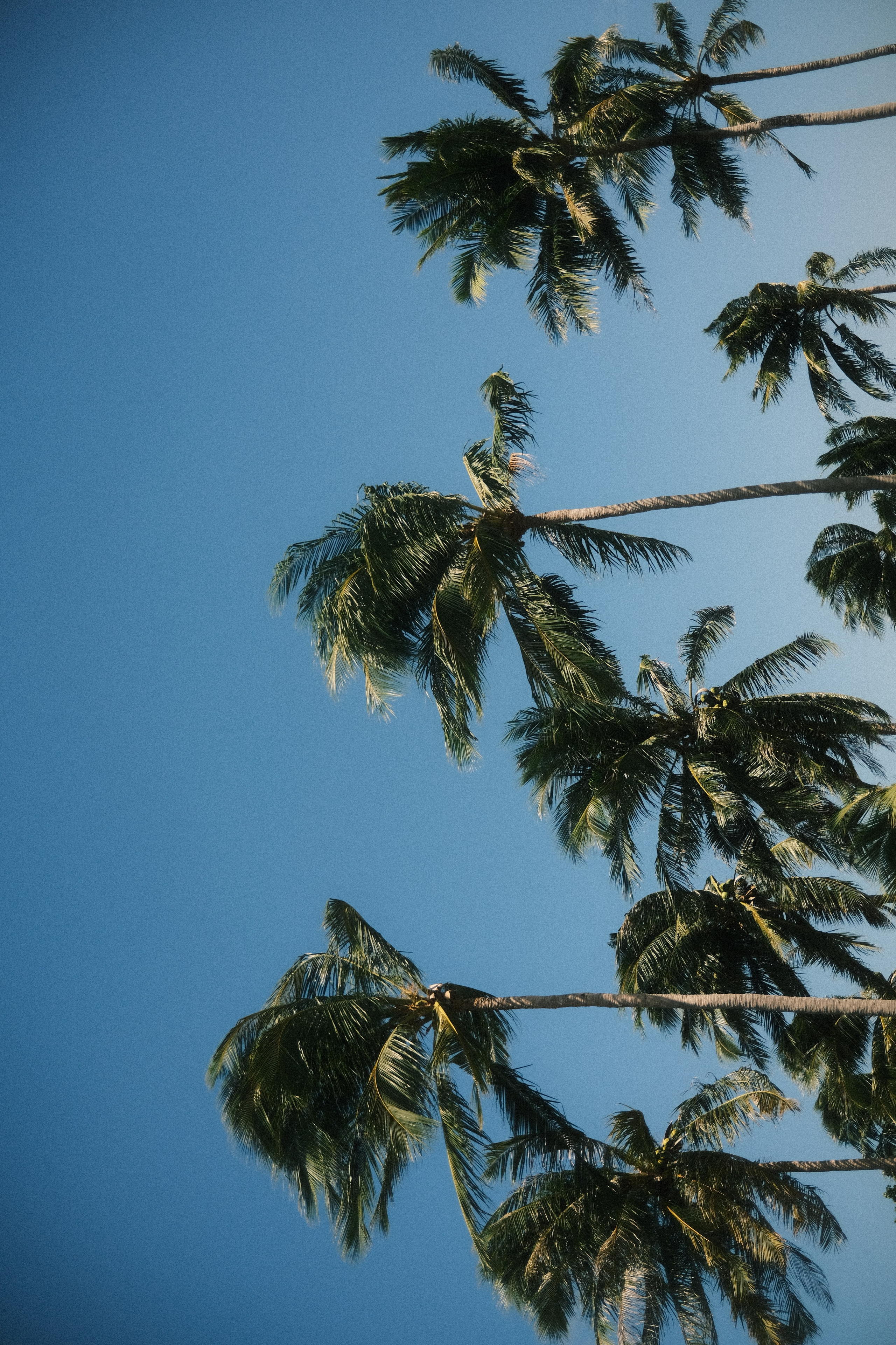 Nowhere and Everywhere. Портретный фотограф