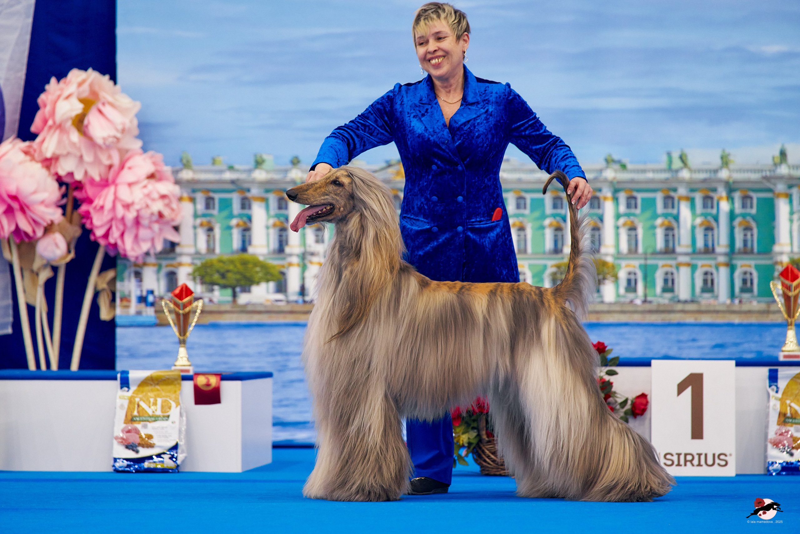 27.04.2025 | "Петербург-Элита 2025" & «КУБОК «ЭЛИТЫ»-2025»