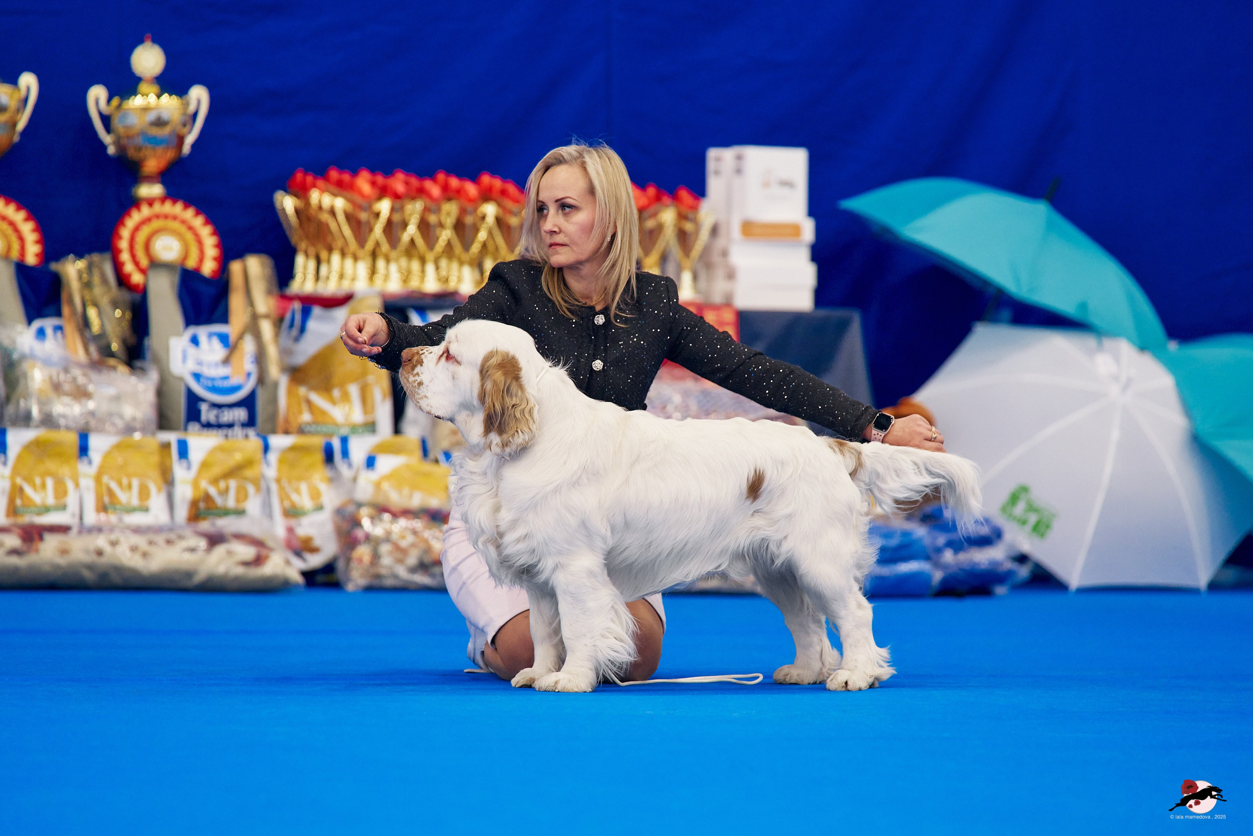 27.04.2025 | "Петербург-Элита 2025" & «КУБОК «ЭЛИТЫ»-2025»