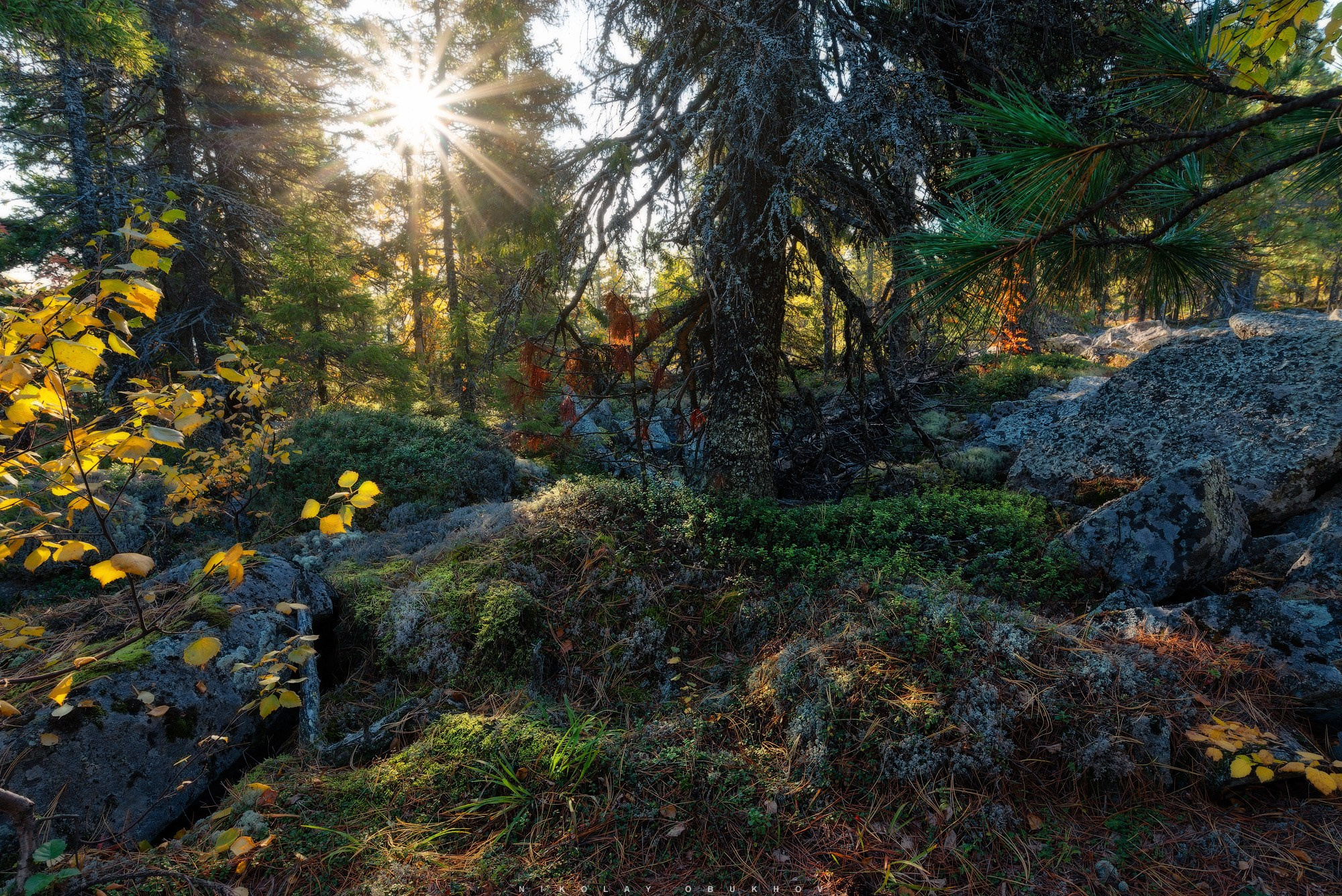 Воздух осеннего леса и тишина на горнолыжном комплексе «Гора Белая».