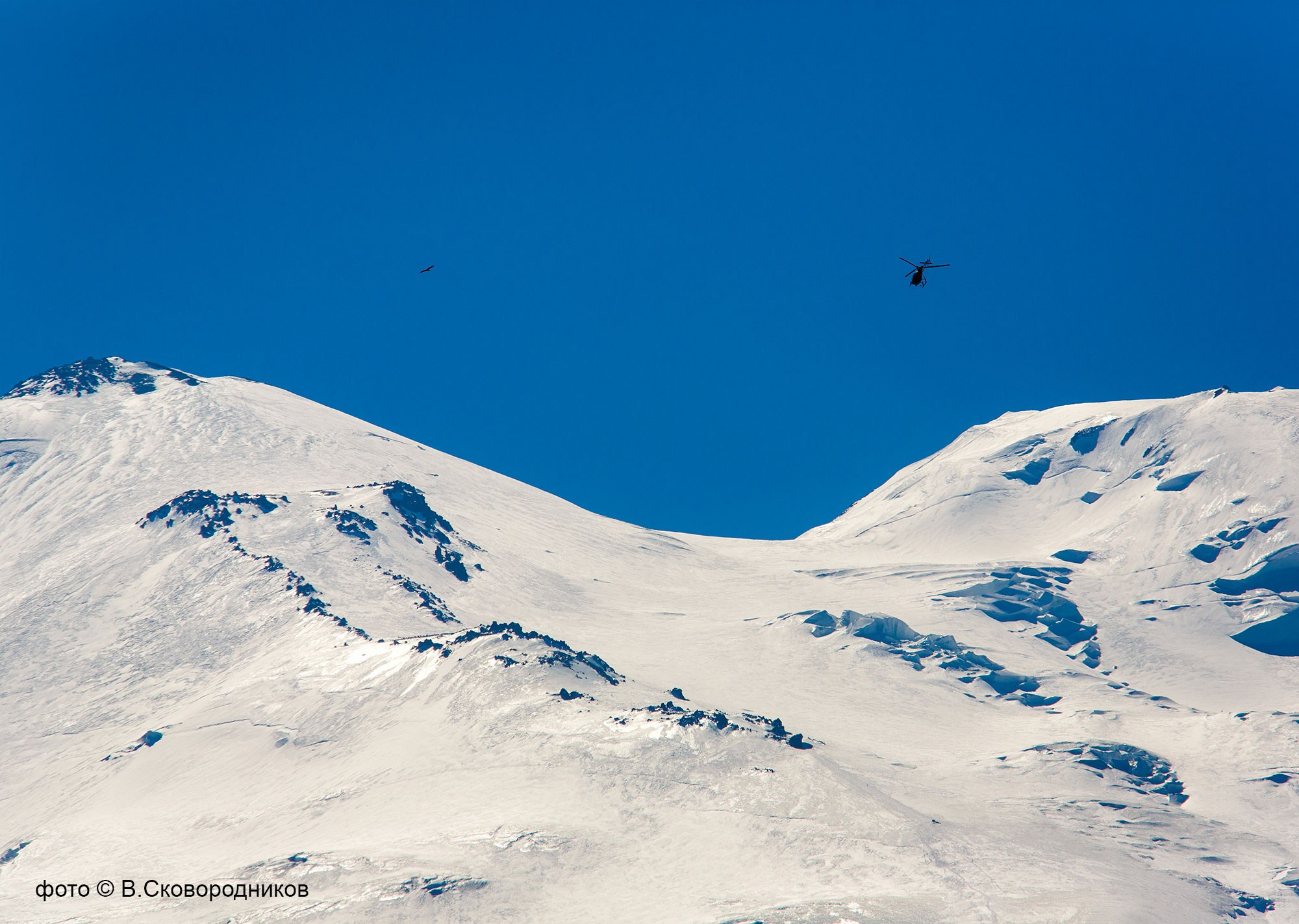 Свадебный фотограф в Геленджике