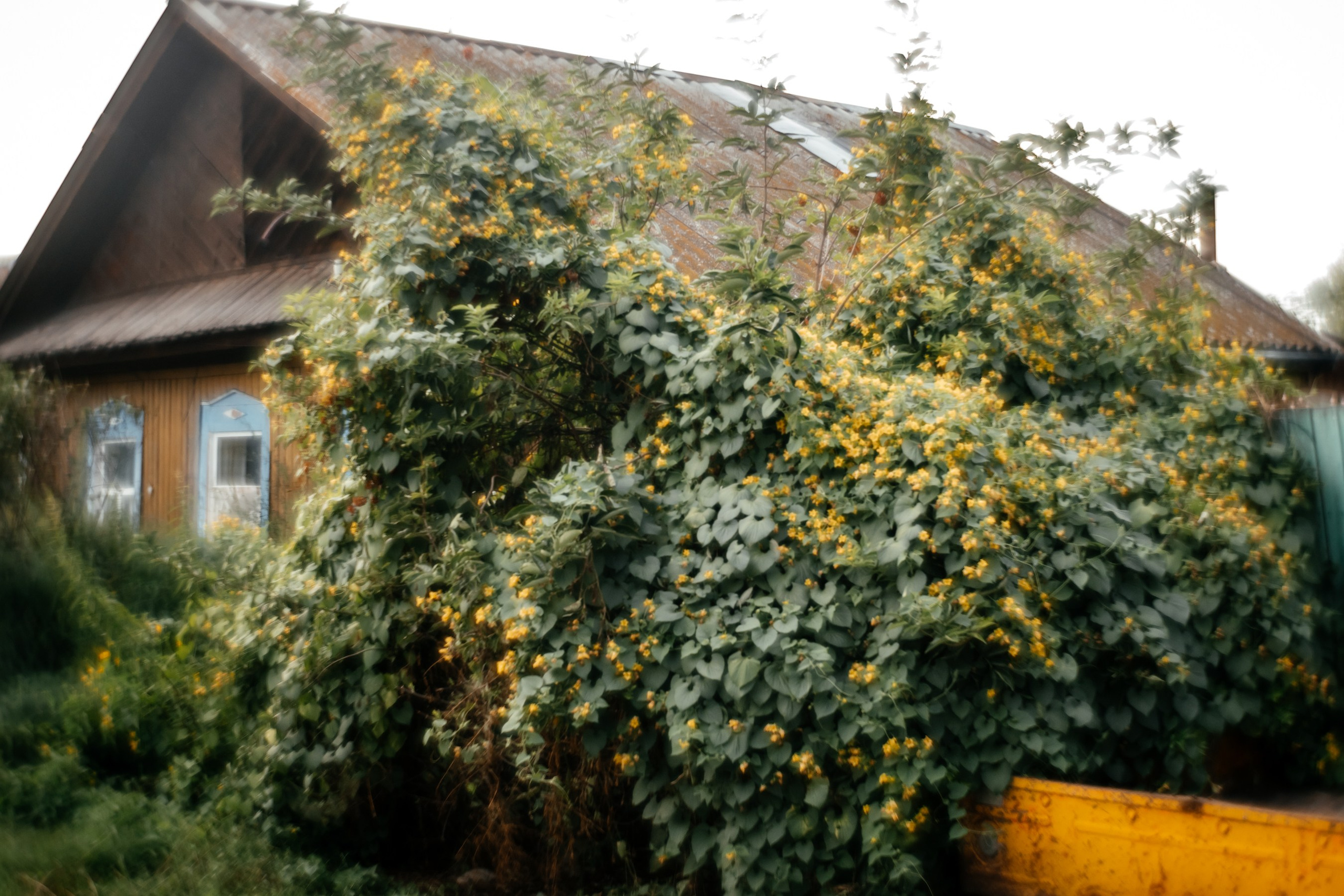 Сны о детстве. Фотограф в Красноярске Оксана Корчагина