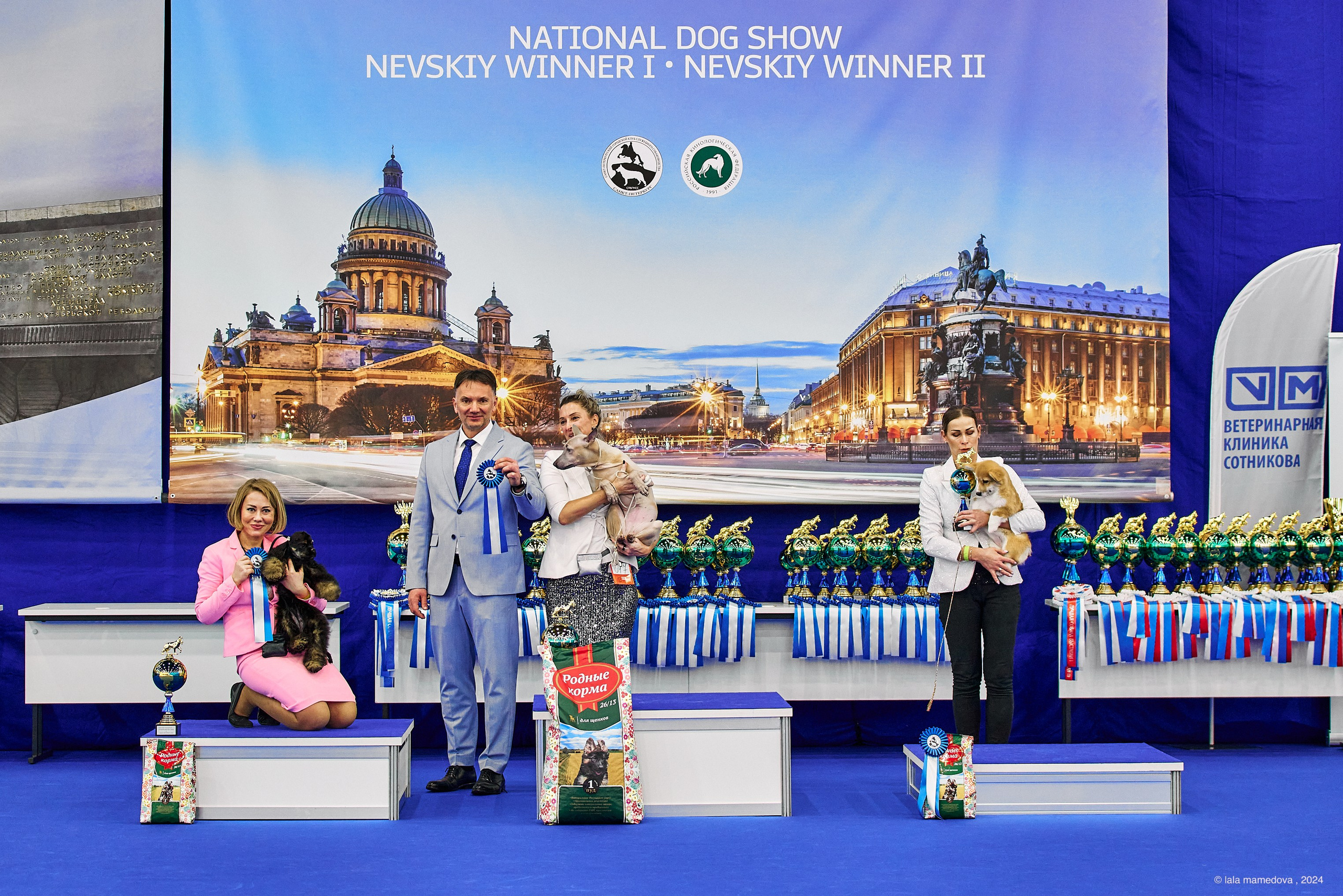 РЕЙТИНГОВАЯ ВЫСТАВКА СОБАК ВСЕХ ПОРОД С ОСОБЫМ СТАТУСОМ"НЕВСКИЙ ПОБЕДИТЕЛЬ-2024-1"