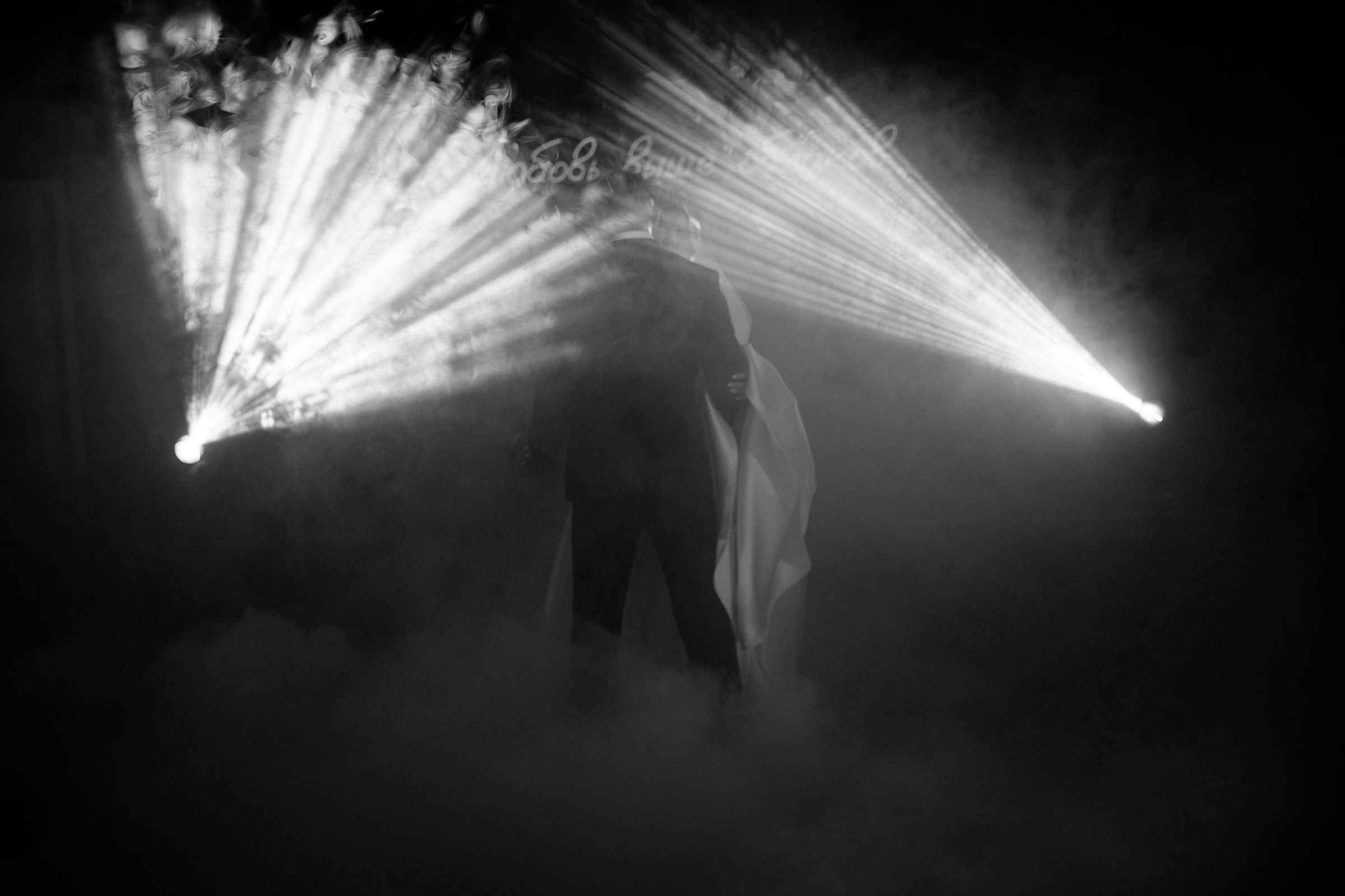 Свадьба пес и котики. Dima Lemeshevsky