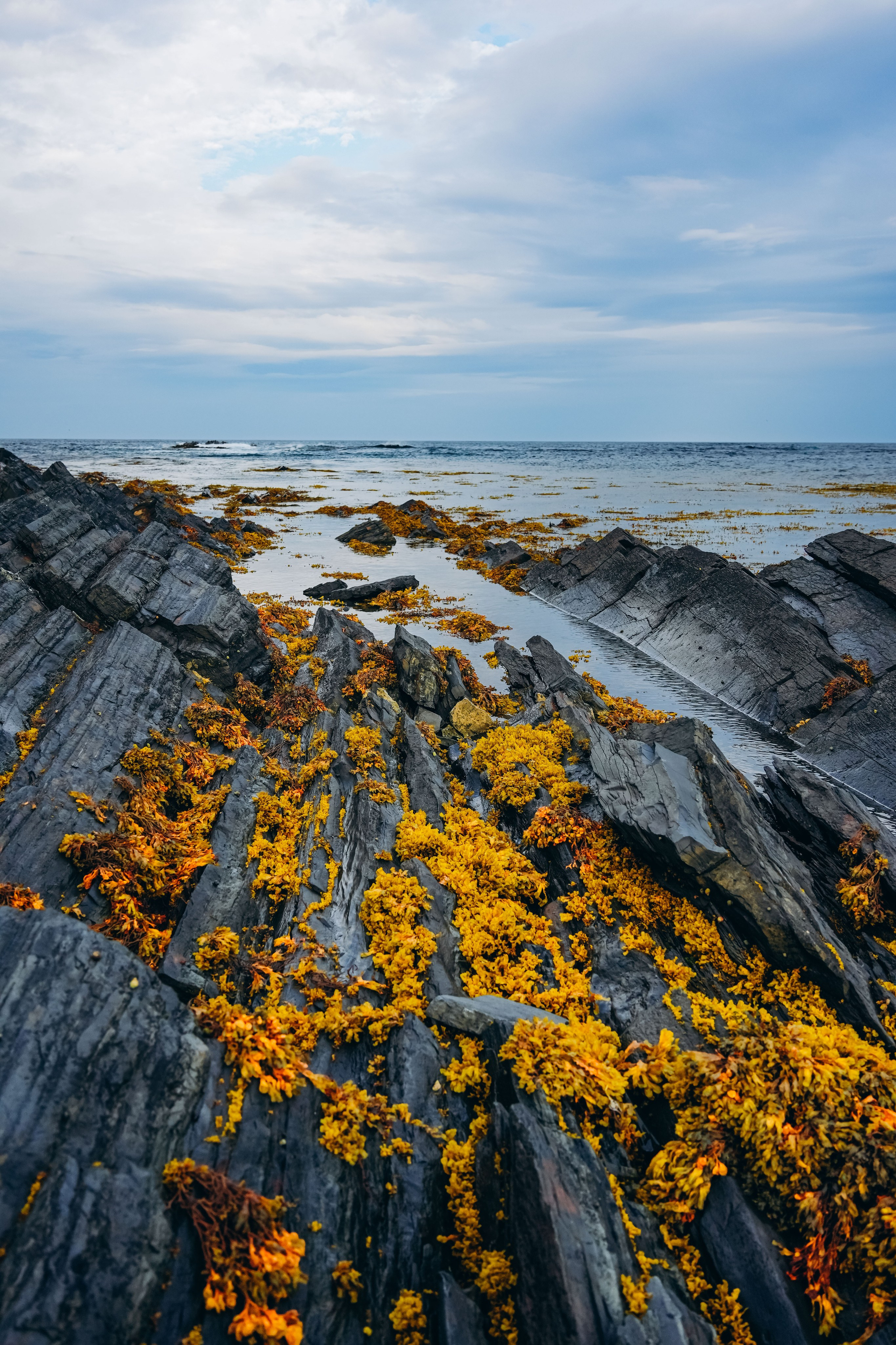 СЕВЕР. Event фотограф Степанова Александра