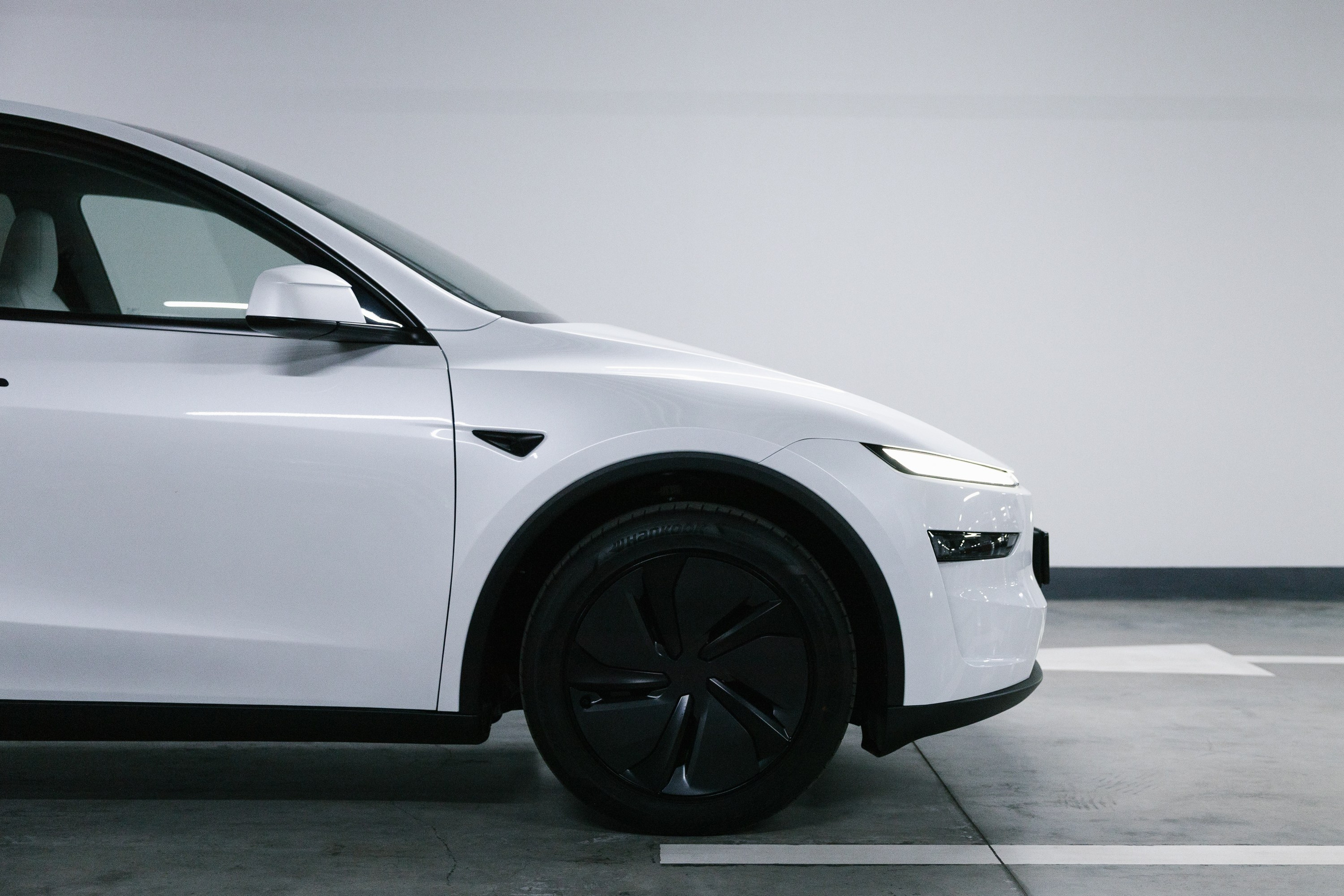 Model Y+. Эстетика Sveta