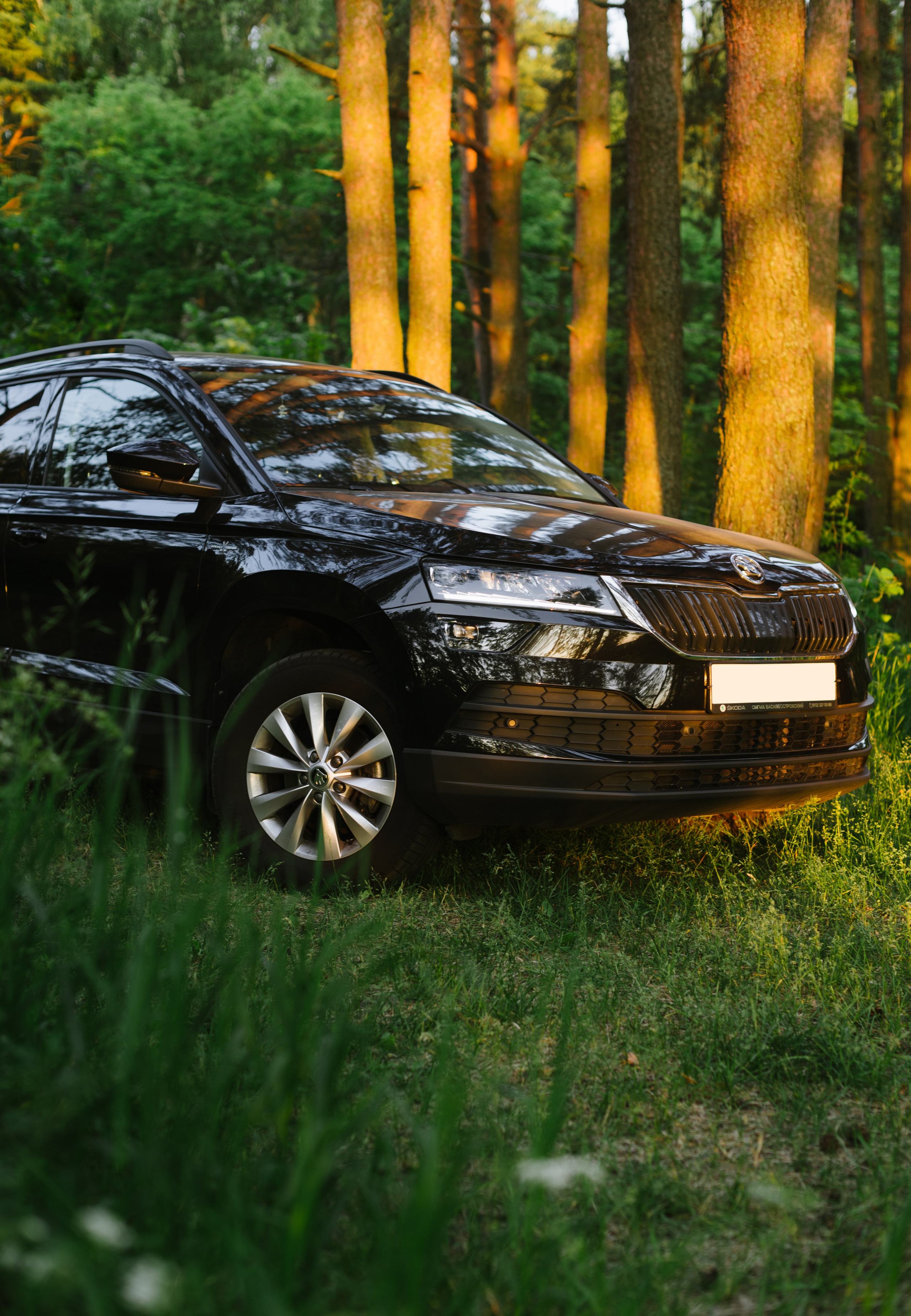 Автомобили. Фотограф Михаил Дементьев