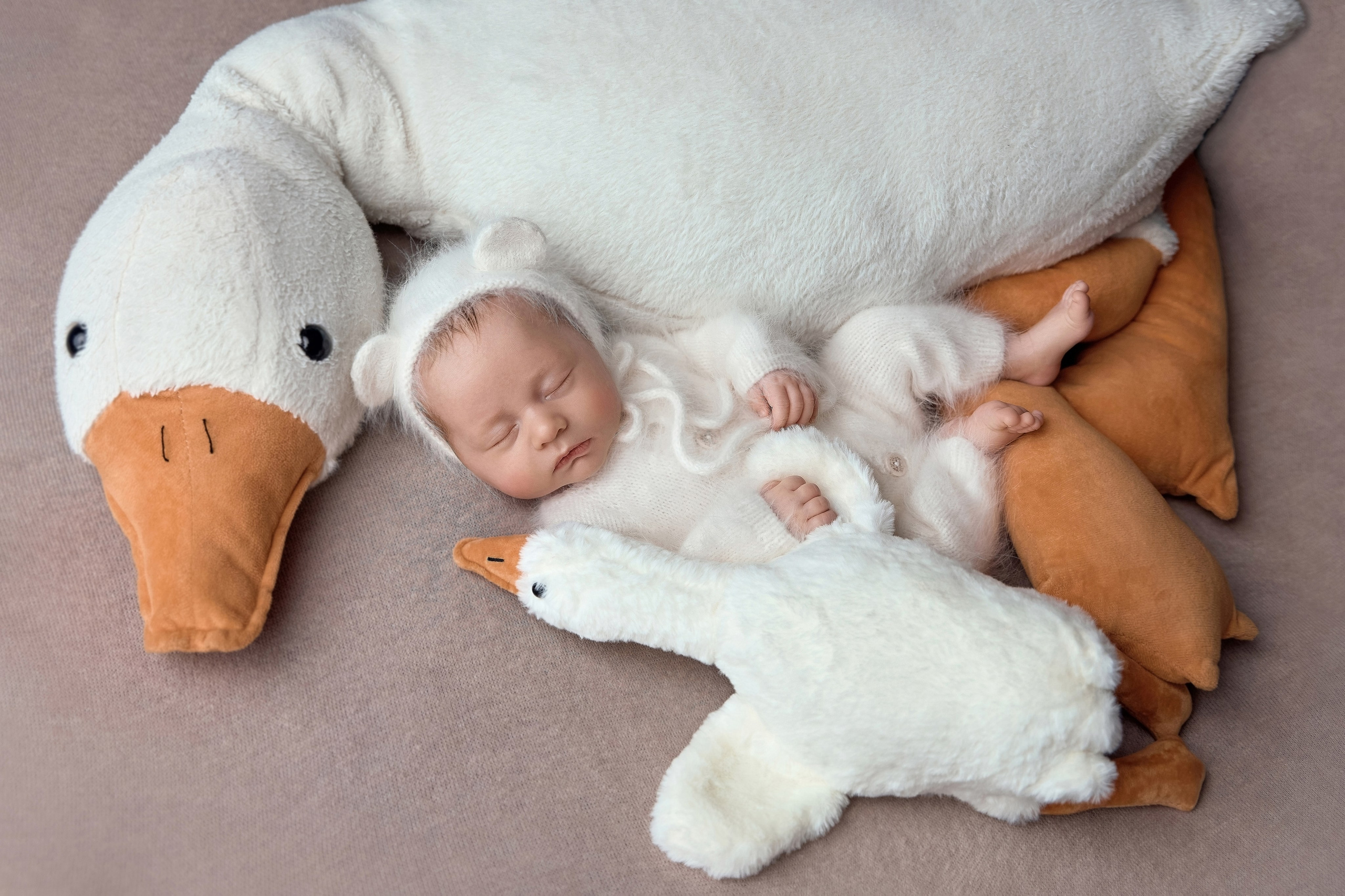 Тариф ПРЕМИУМ. Профессиональный фотограф новорождённых в Москве Елена Сатюкова