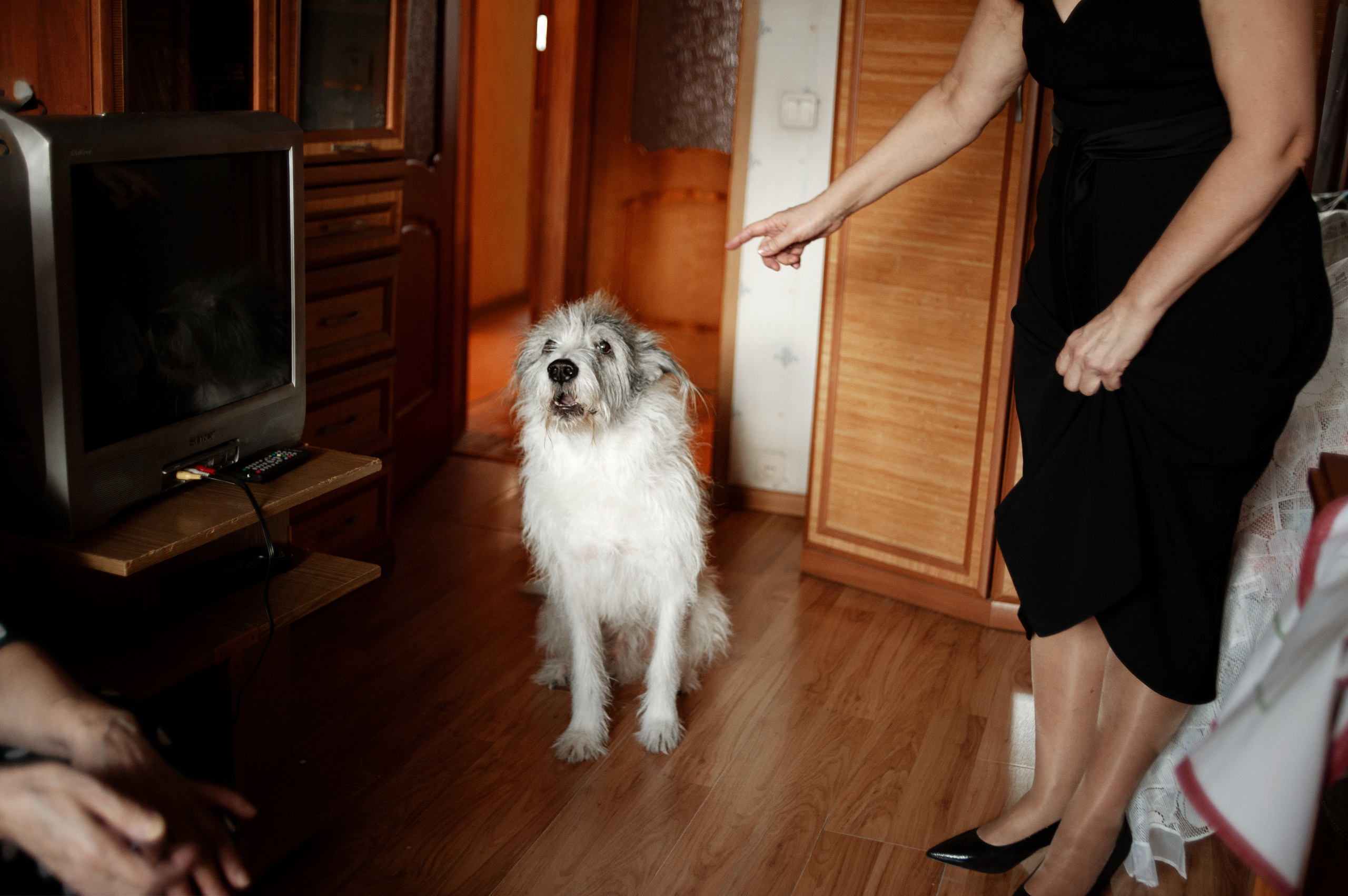 Камерно в москве. Ваш семейный фотограф