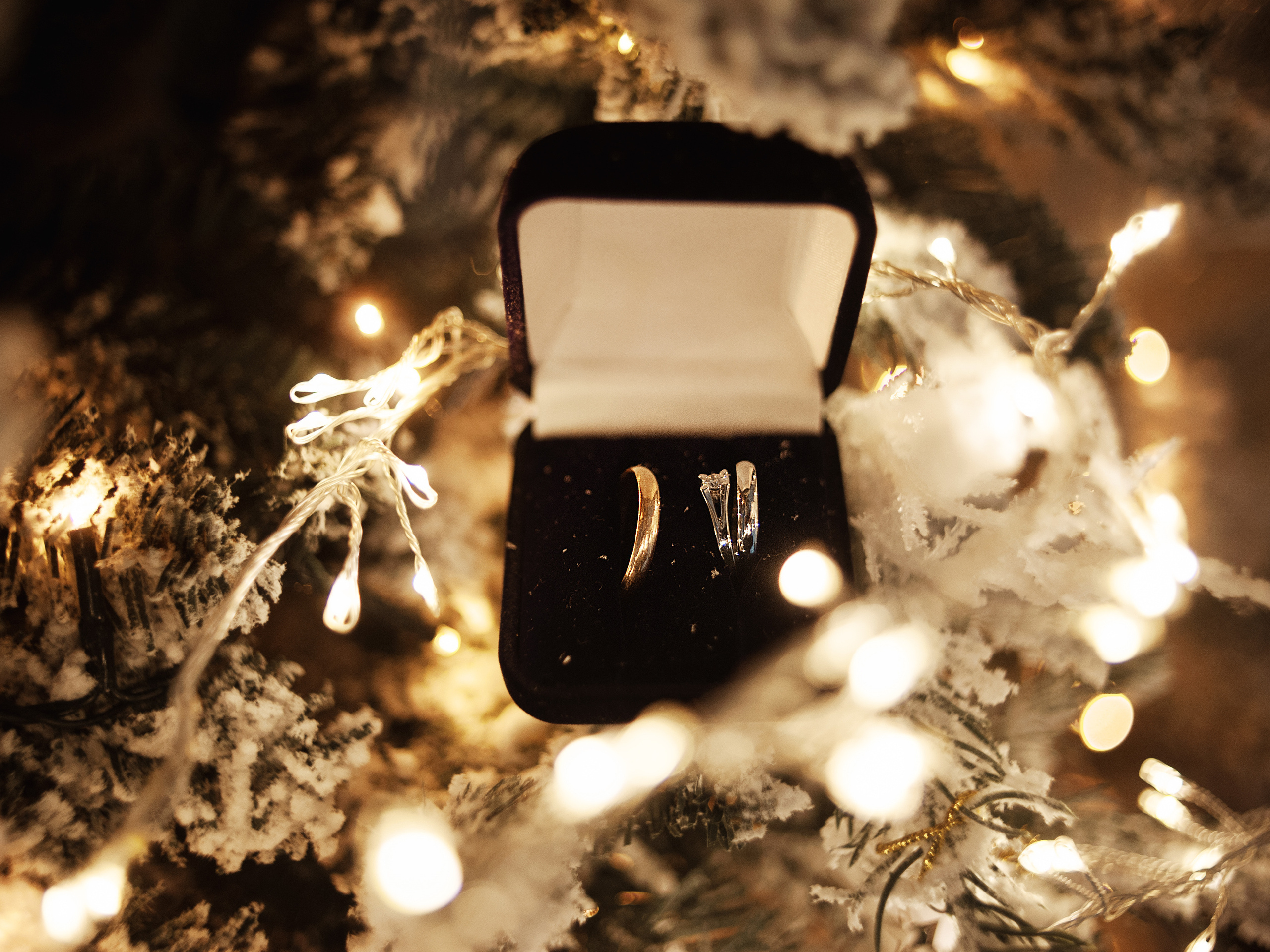 Зима 2020. Наташа и Илья. Ваш семейный фотограф