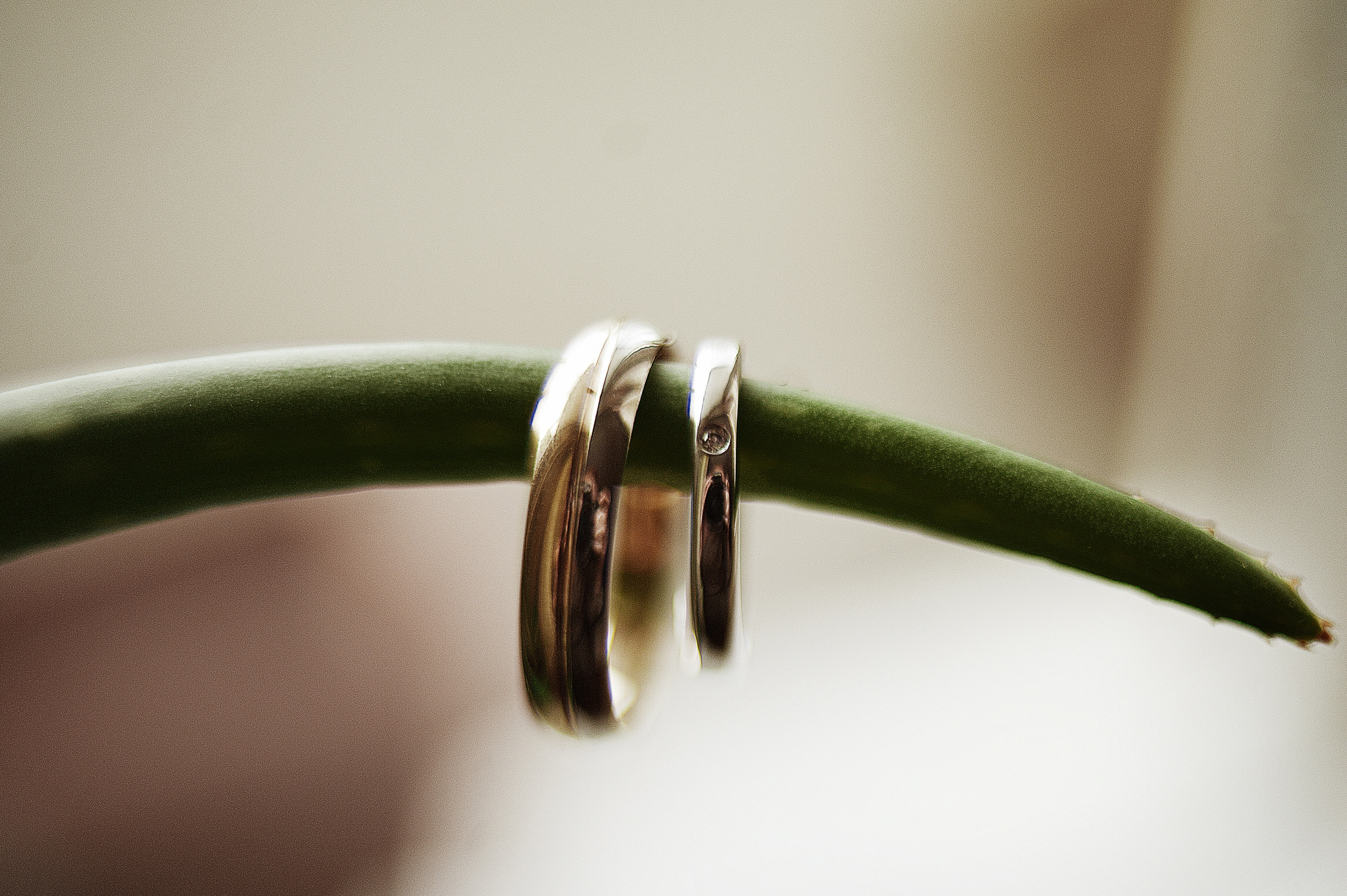 Камерно в москве. Ваш семейный фотограф