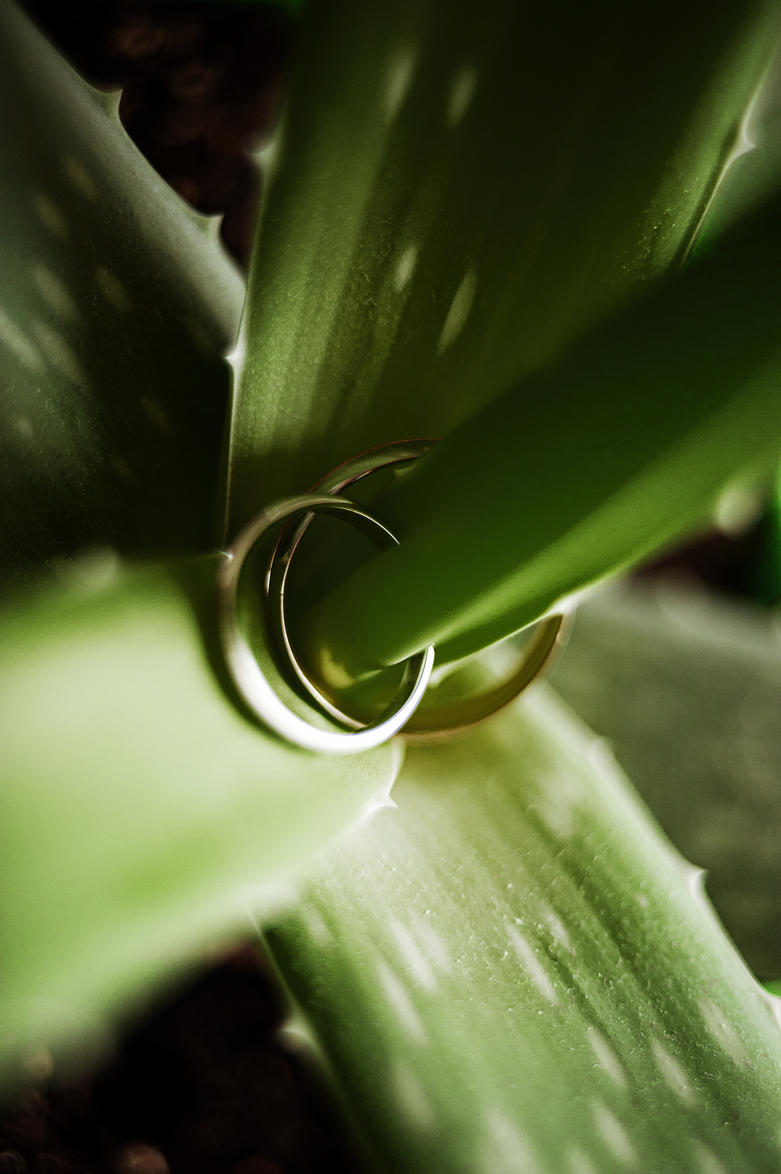 Камерно в москве. Ваш семейный фотограф