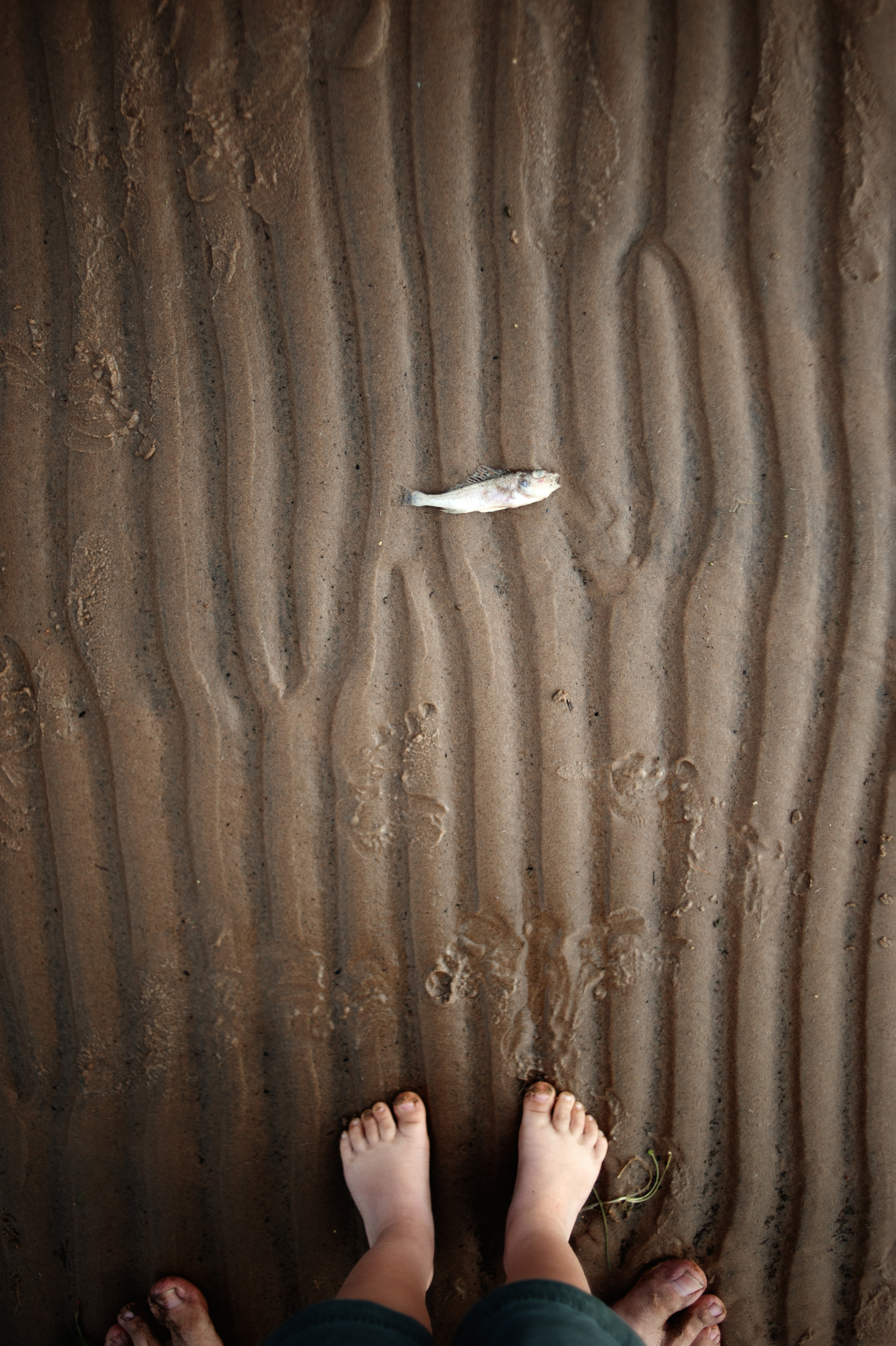 Смотри, рыба!. Ваш семейный фотограф