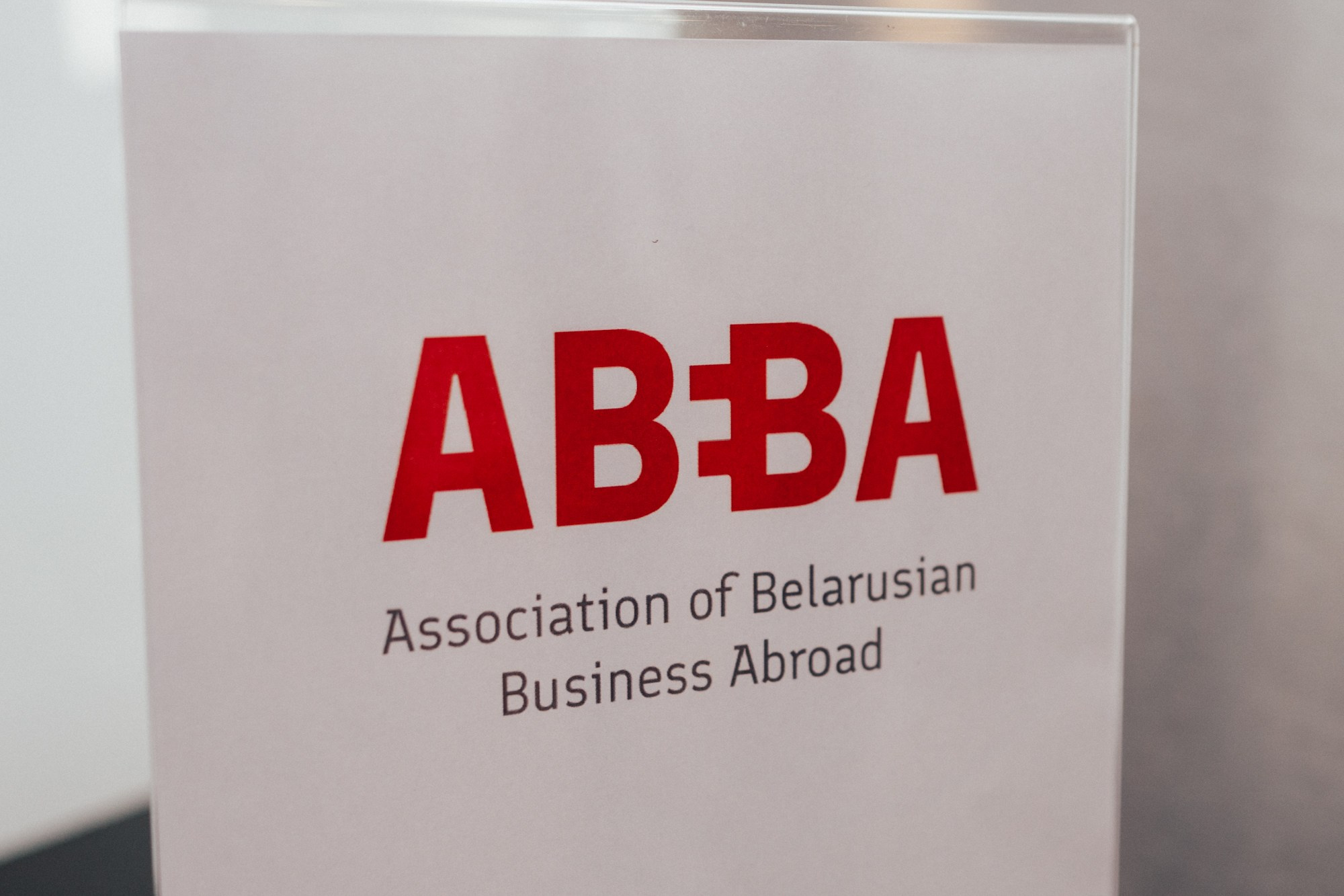 3rd Belarusian Business Forum in Vilnius. Photographer in Vilnius