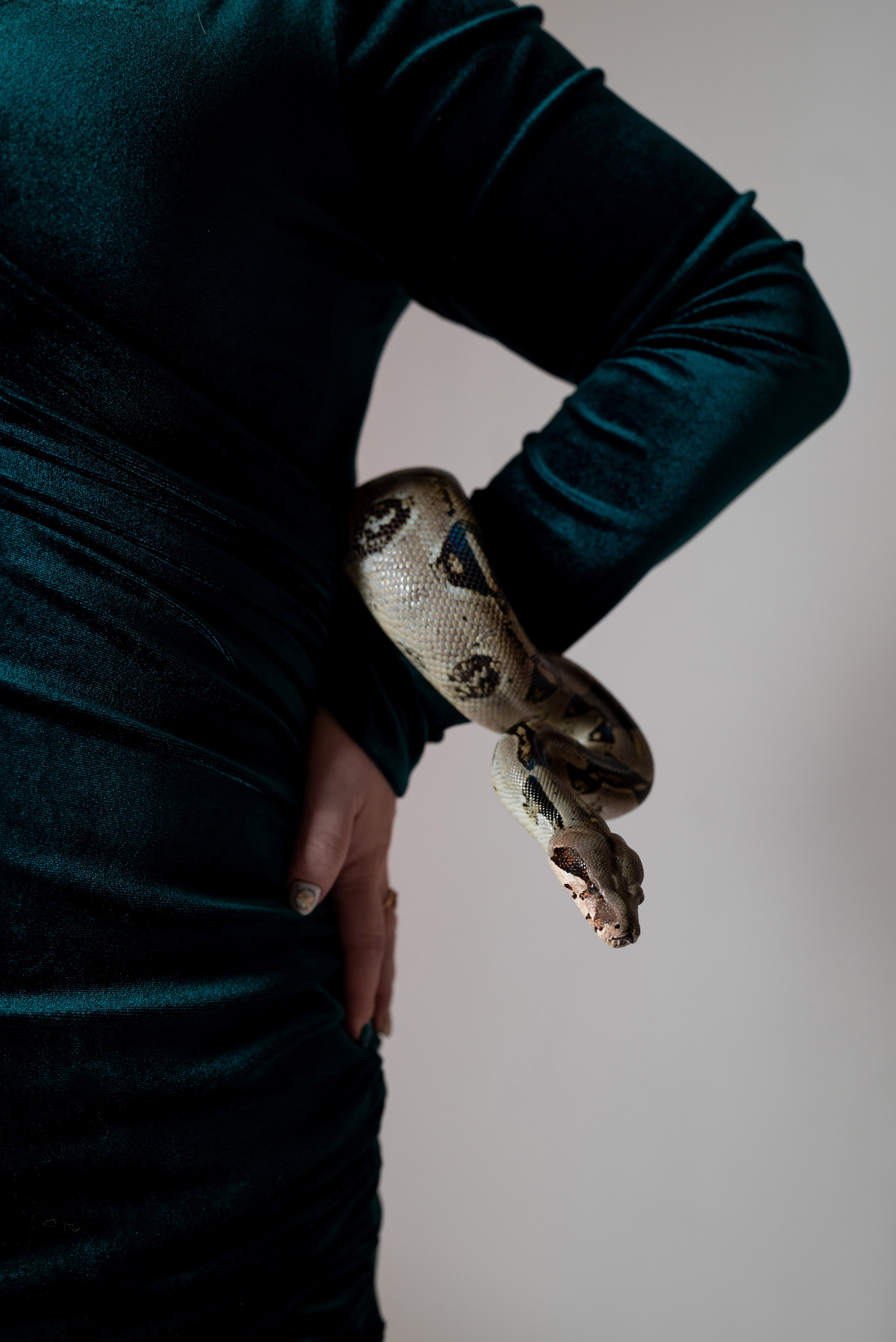 Фотопроект со змеёй 2025 г. Фотограф в городе Салават