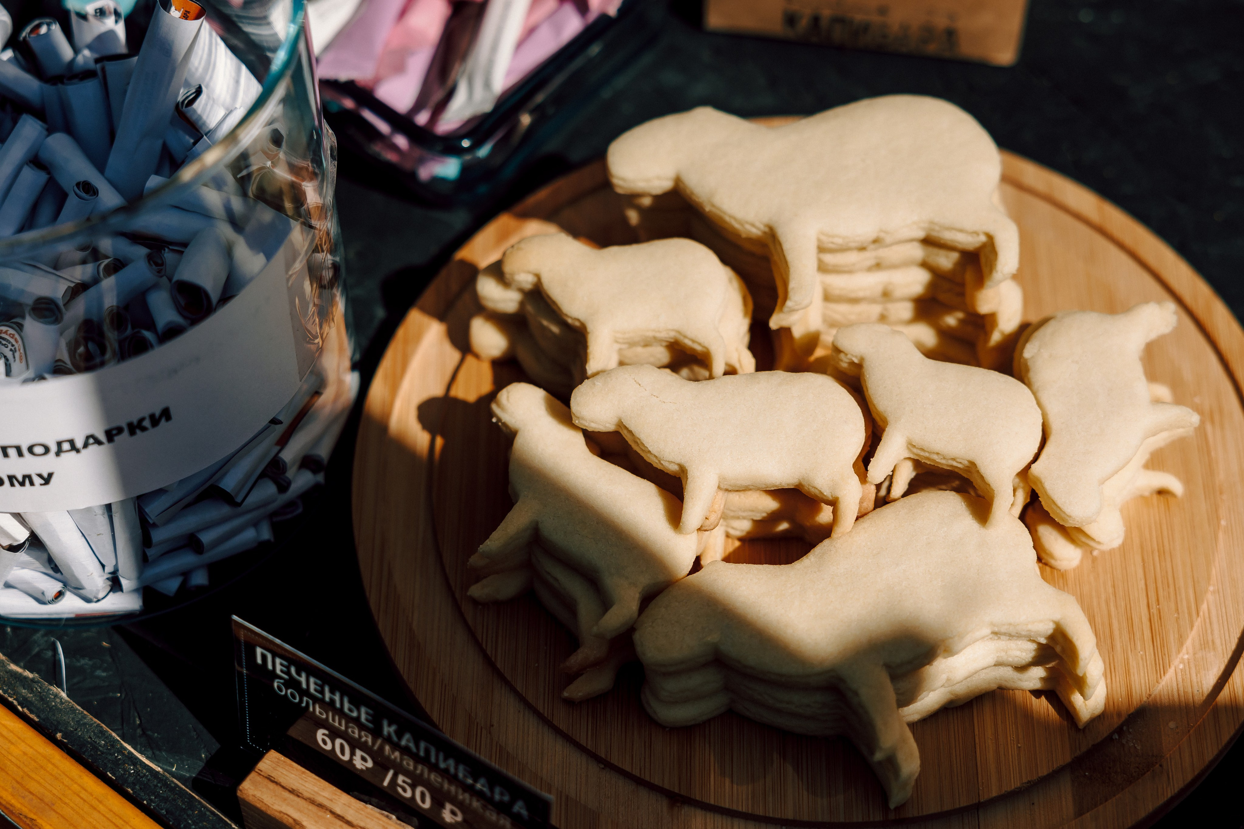 E1 Sup Fest 2024. Лёшка Варзегов — фотограф